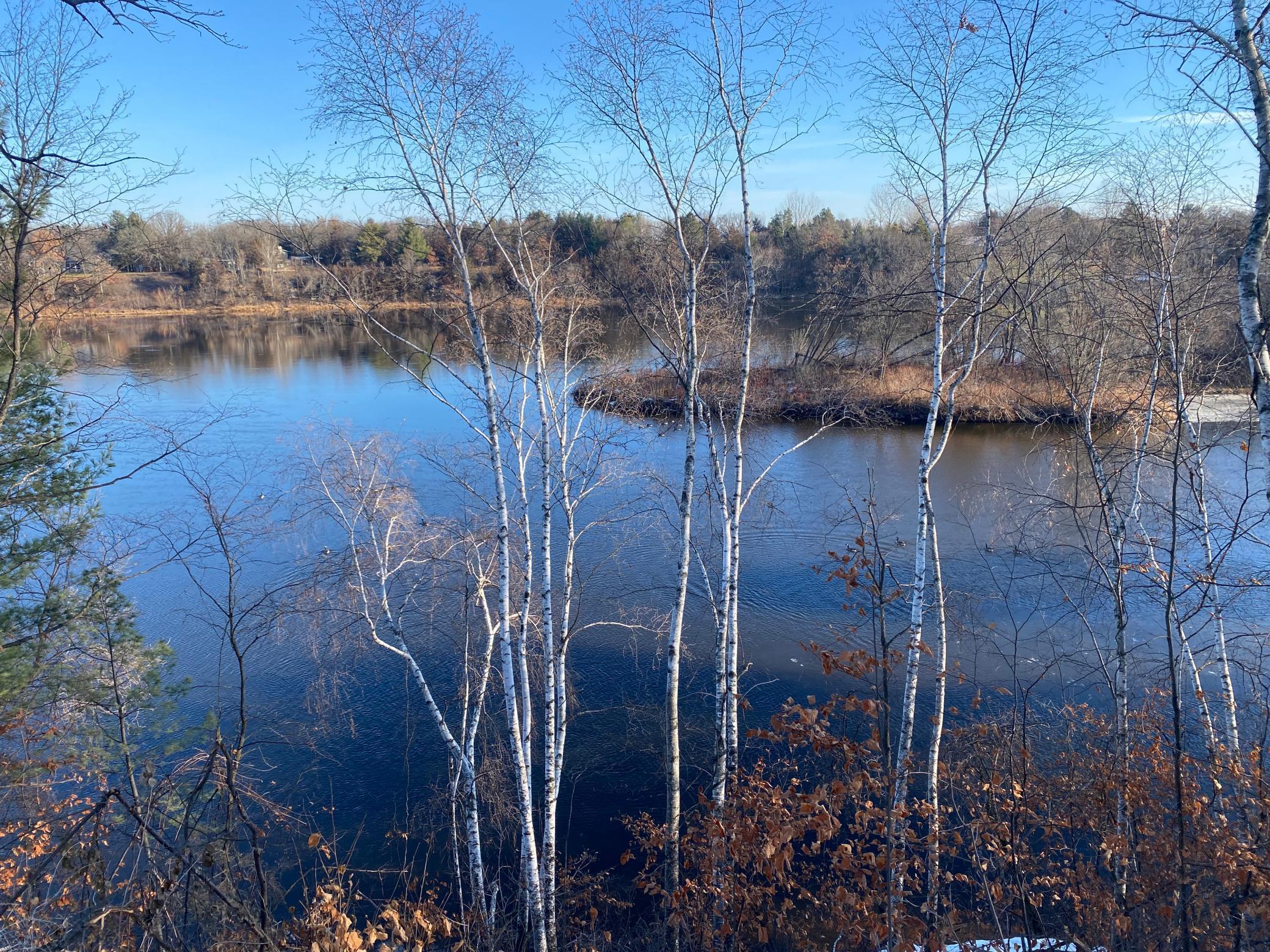 Xxx County Road 1, Rice, Minnesota image 14