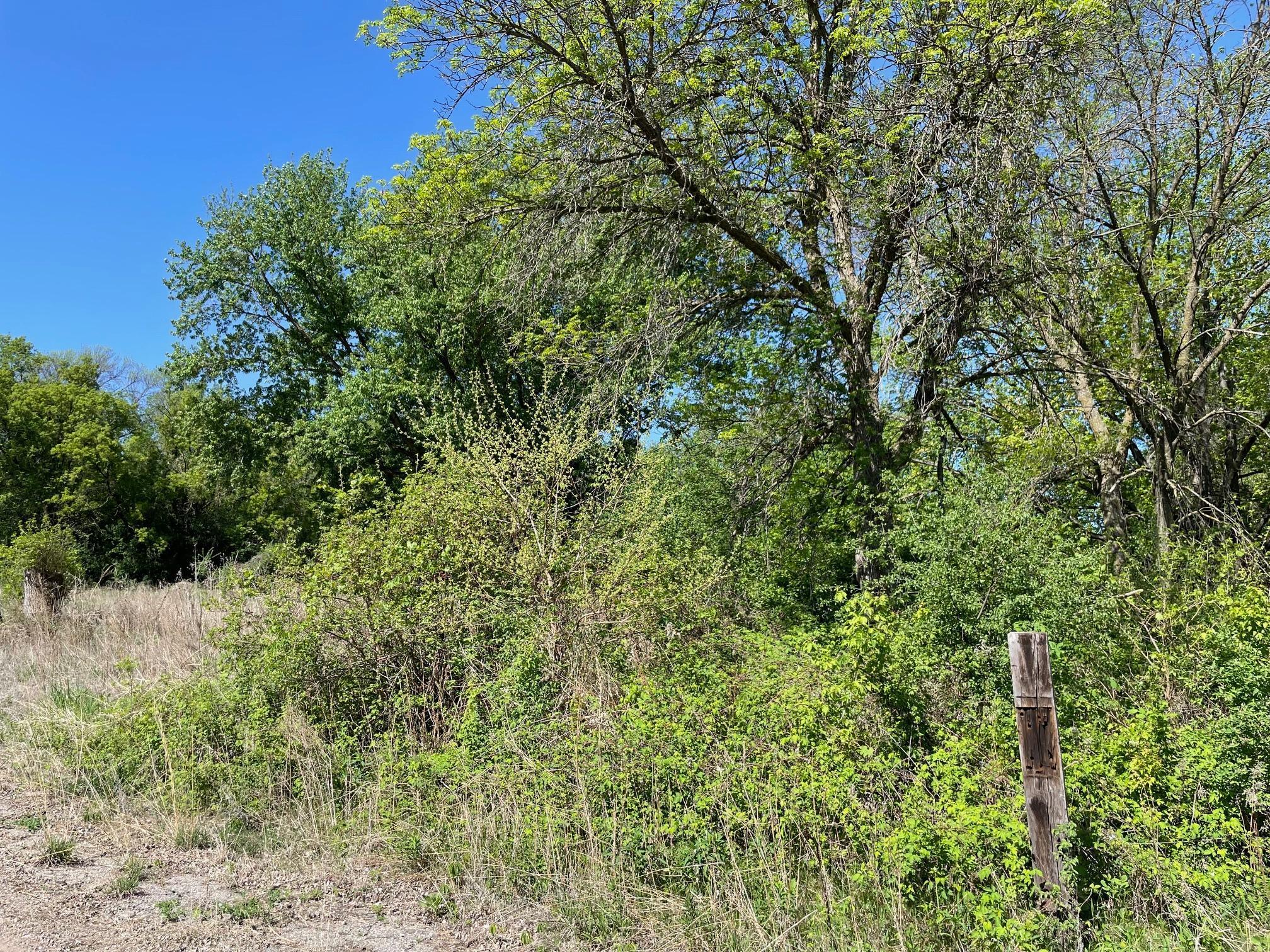 TBD Hwy 212, Montevideo, Minnesota image 10