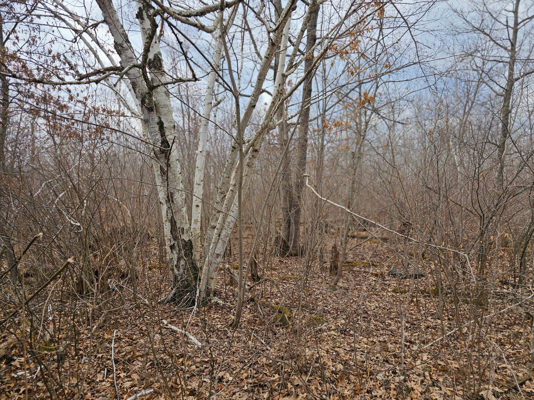 51935 Cloverton Road, Sandstone, Minnesota image 1