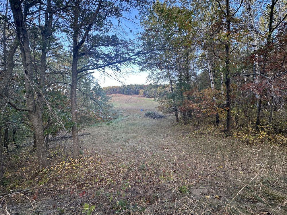 38228 State Highway 87, Frazee, Minnesota image 16