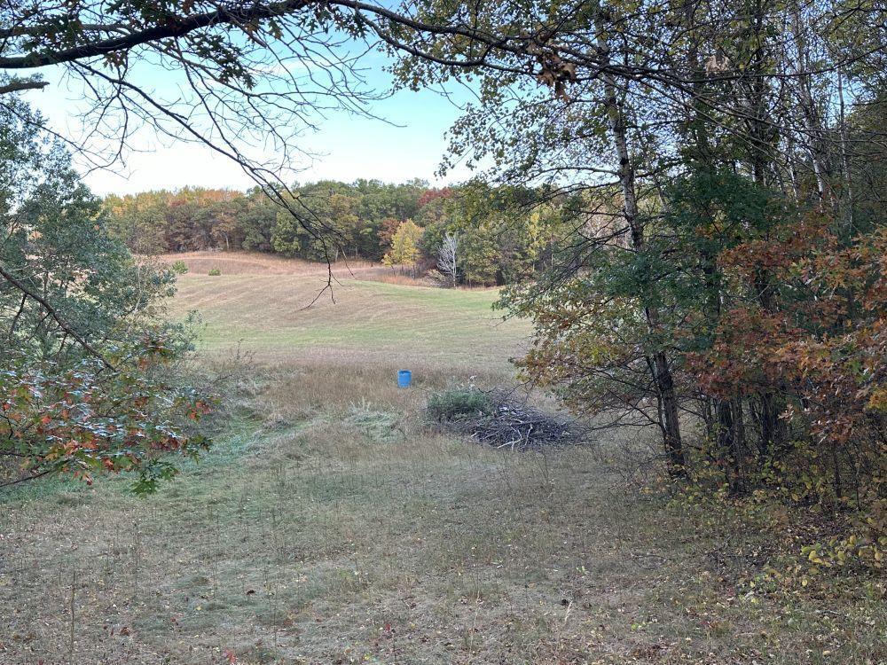 38228 State Highway 87, Frazee, Minnesota image 17