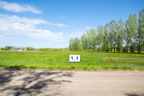 Vacant Land For Sale - 310 LOT1.1 Mallard Lane<br/> Douglas County, Brandon, MN 56315