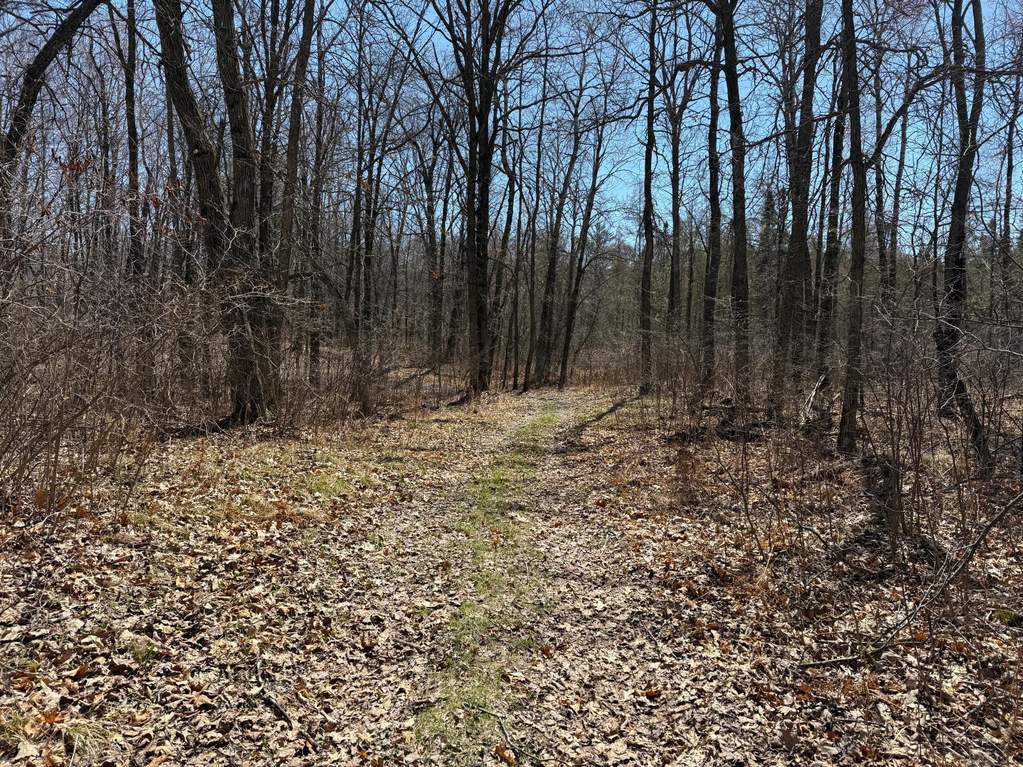 TBD Mayo Lake Rd, Pequot Lakes, Minnesota image 28