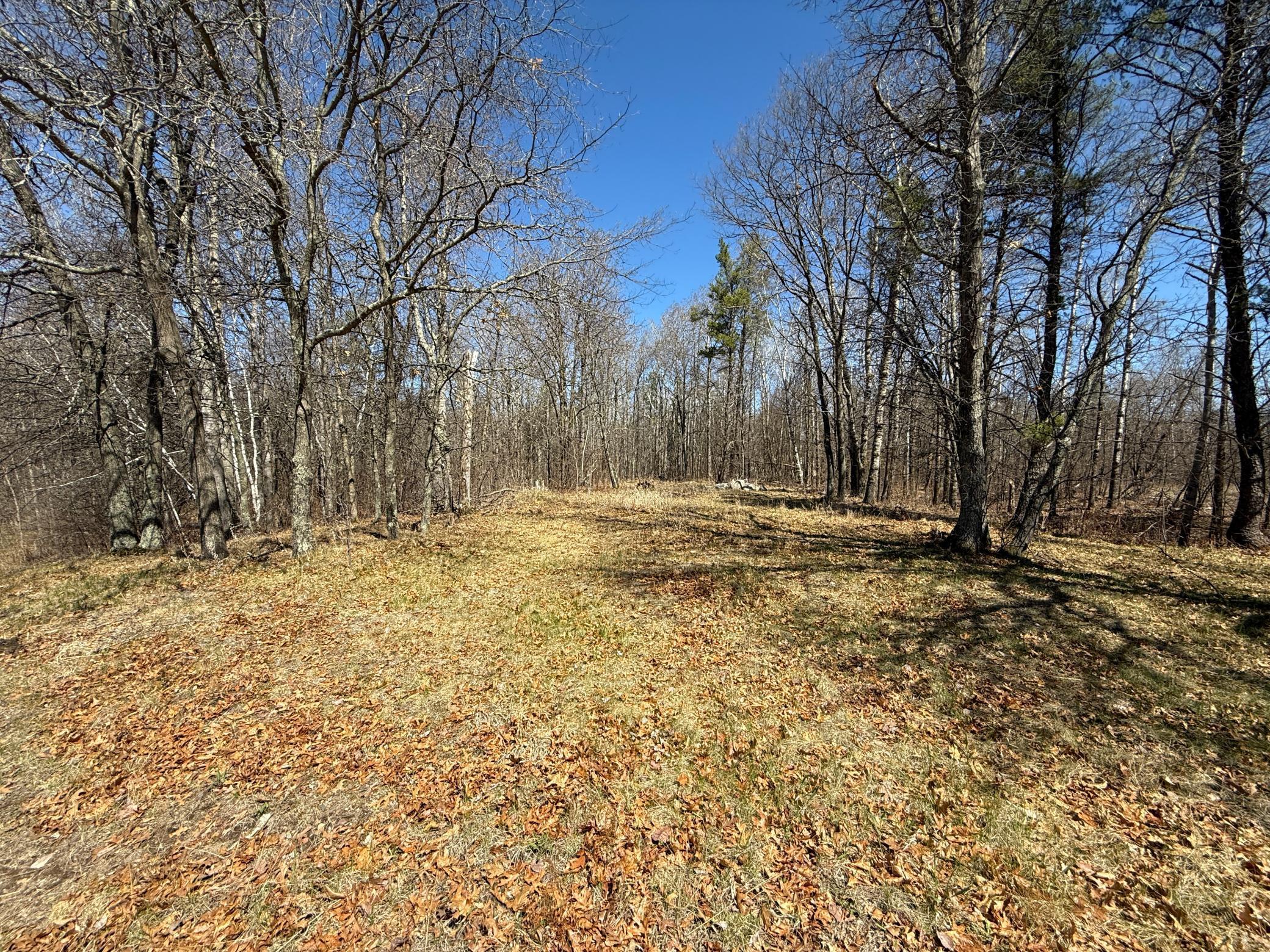 TBD Mayo Lake Rd, Pequot Lakes, Minnesota image 19