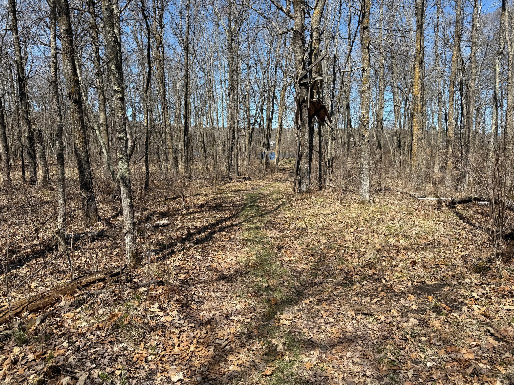TBD Mayo Lake Rd, Pequot Lakes, Minnesota image 29