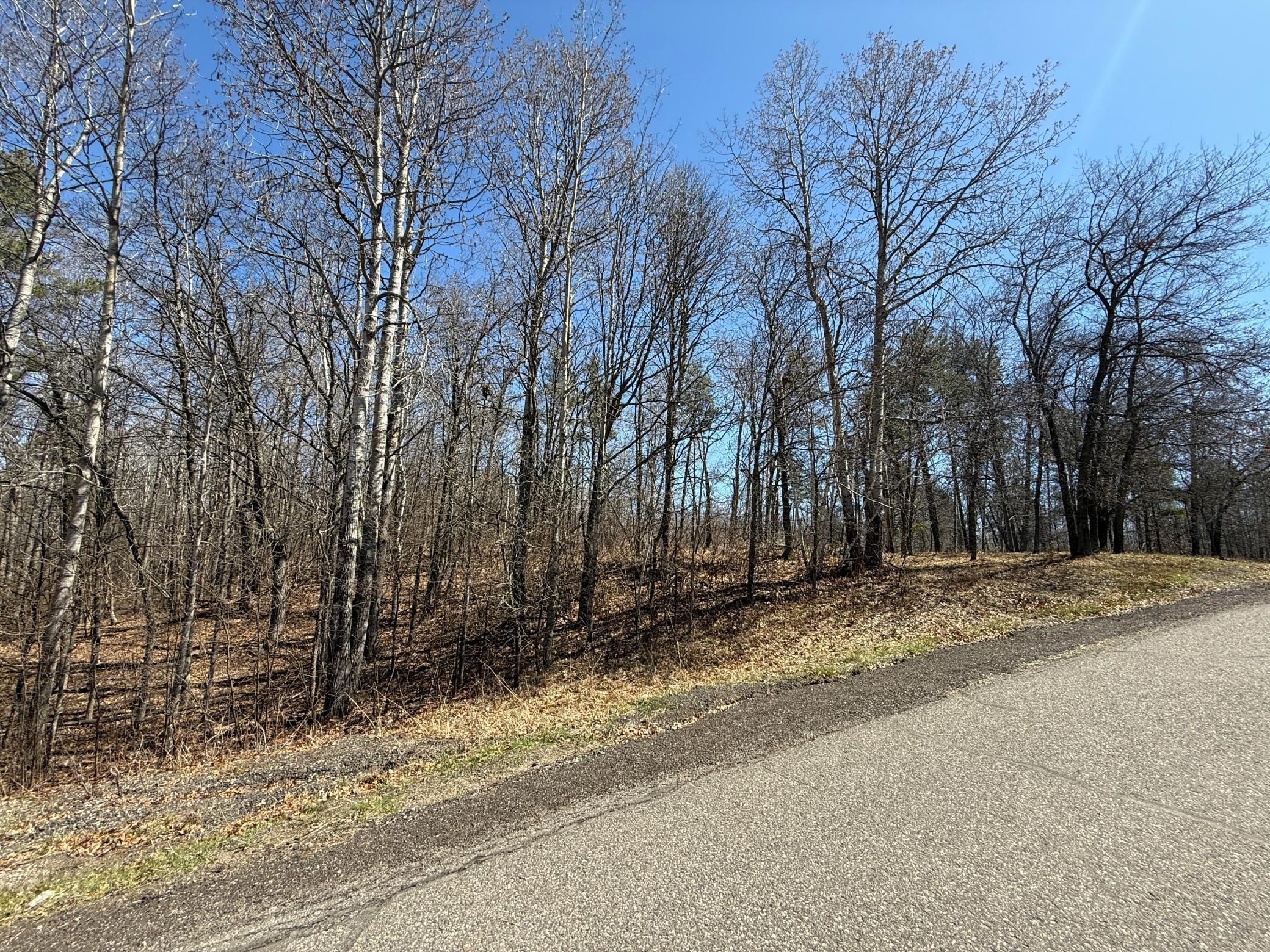 TBD Mayo Lake Rd, Pequot Lakes, Minnesota image 22