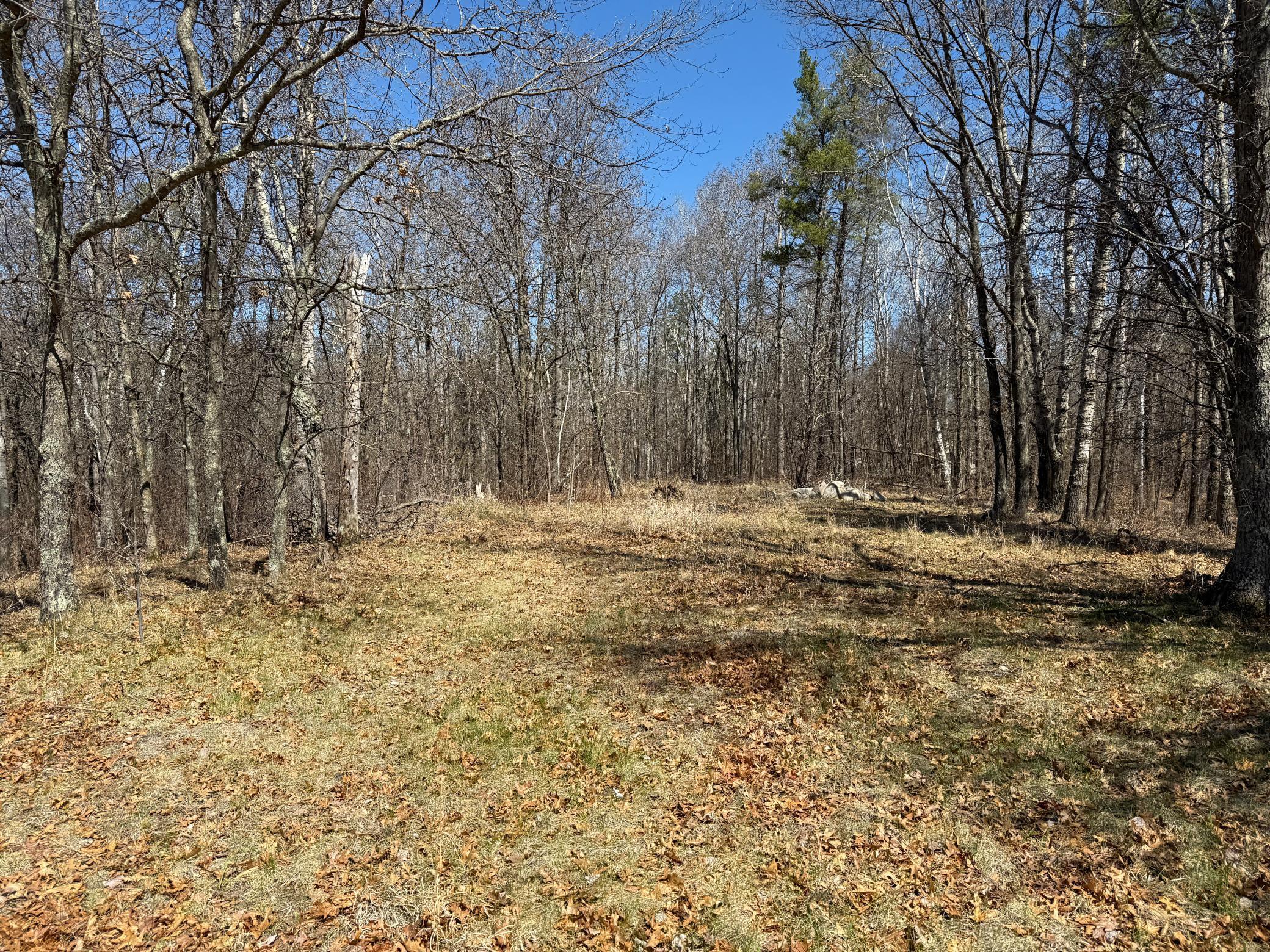 TBD Mayo Lake Rd, Pequot Lakes, Minnesota image 20