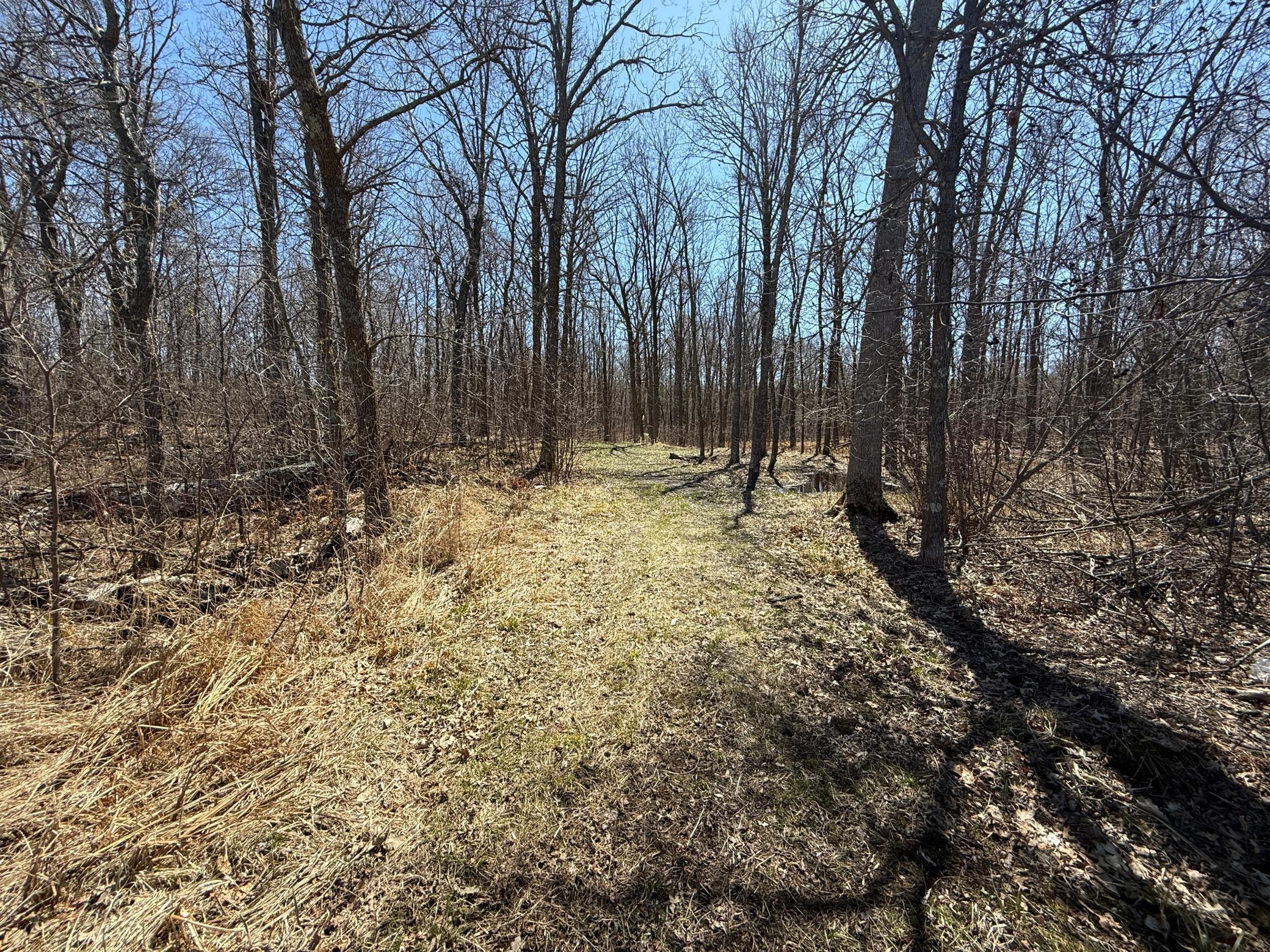 TBD Mayo Lake Rd, Pequot Lakes, Minnesota image 25
