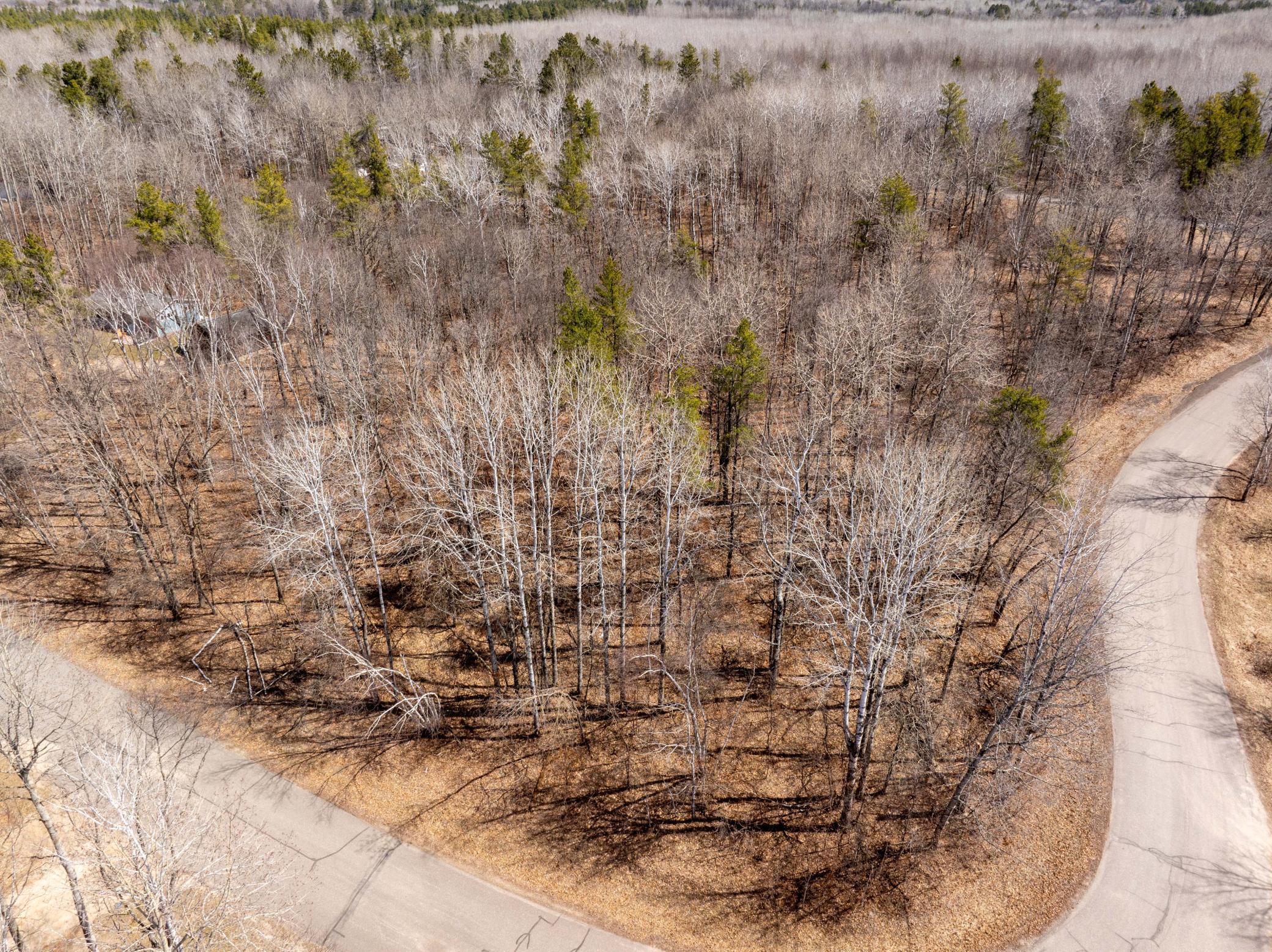 TBD Mayo Lake Rd, Pequot Lakes, Minnesota image 15