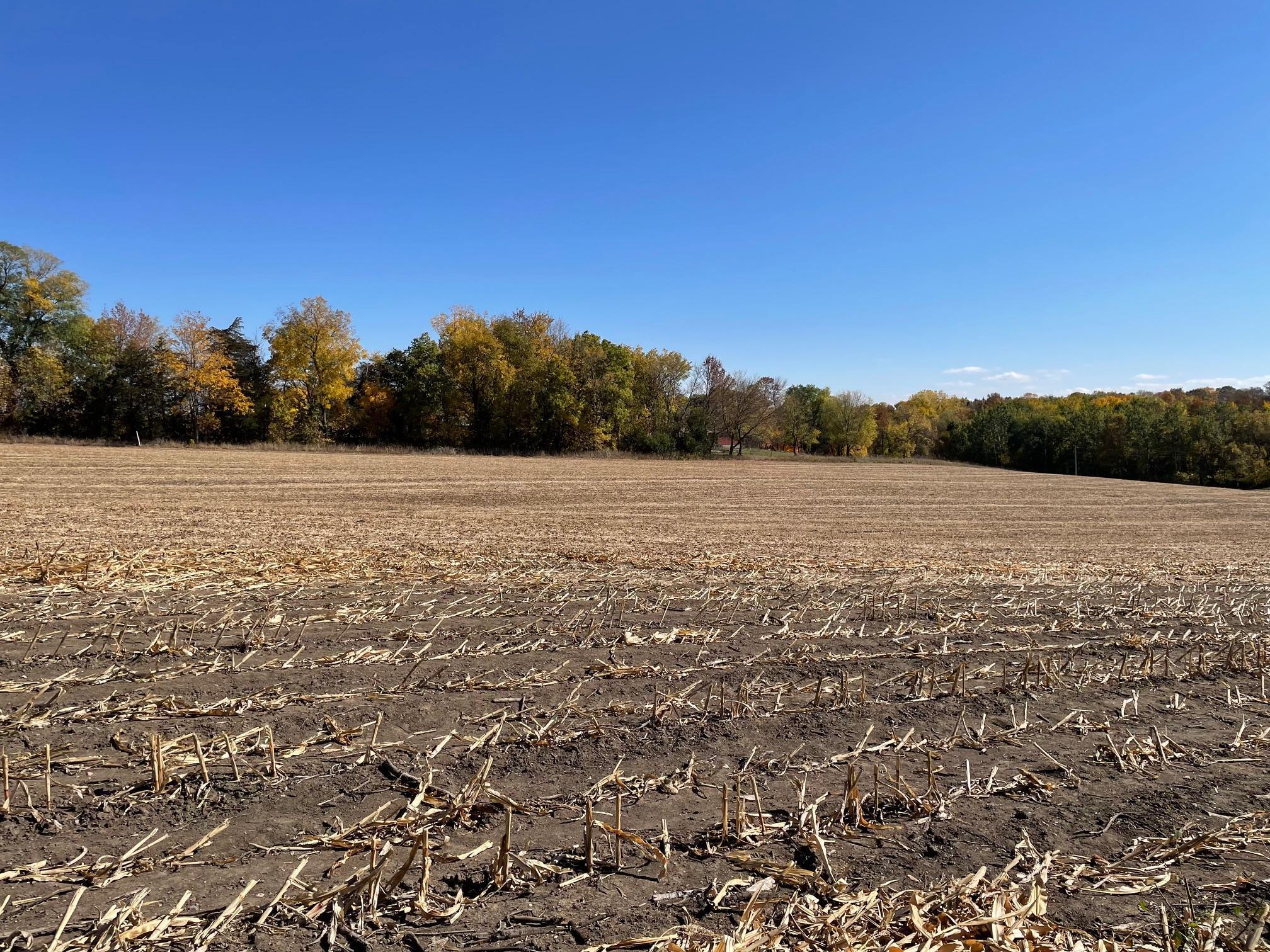 XXX Le Sueur Creek Road, Le Sueur, Minnesota image 11