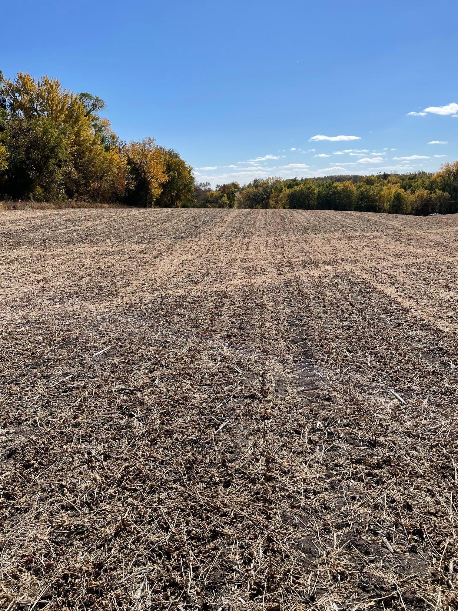 XXX Le Sueur Creek Road, Le Sueur, Minnesota image 9