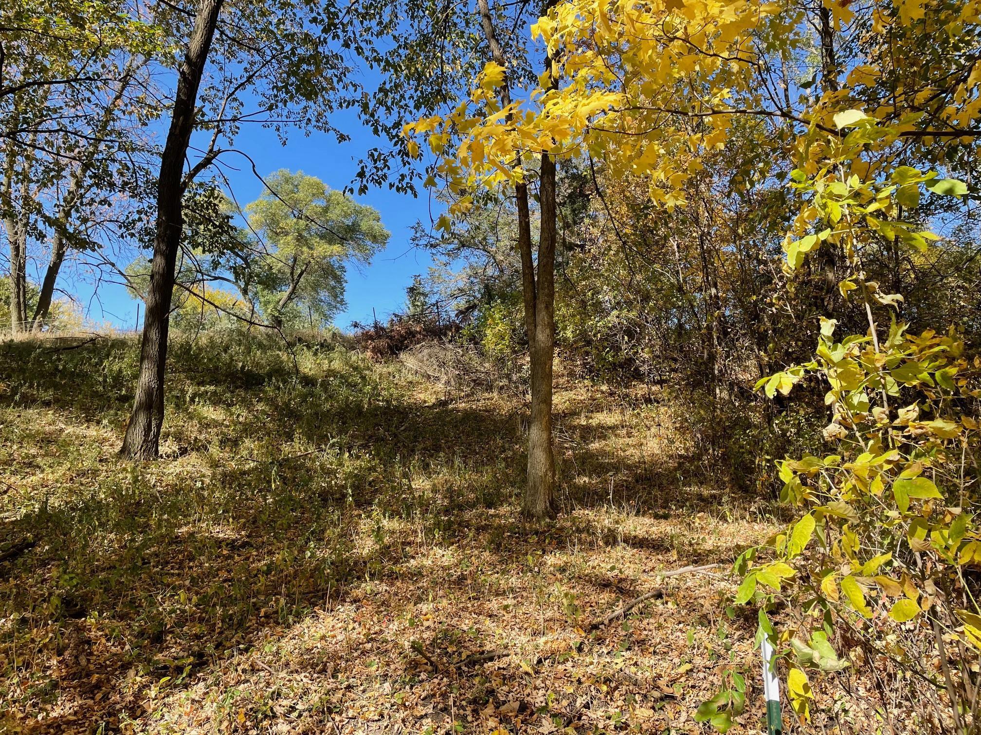 XXX Le Sueur Creek Road, Le Sueur, Minnesota image 6