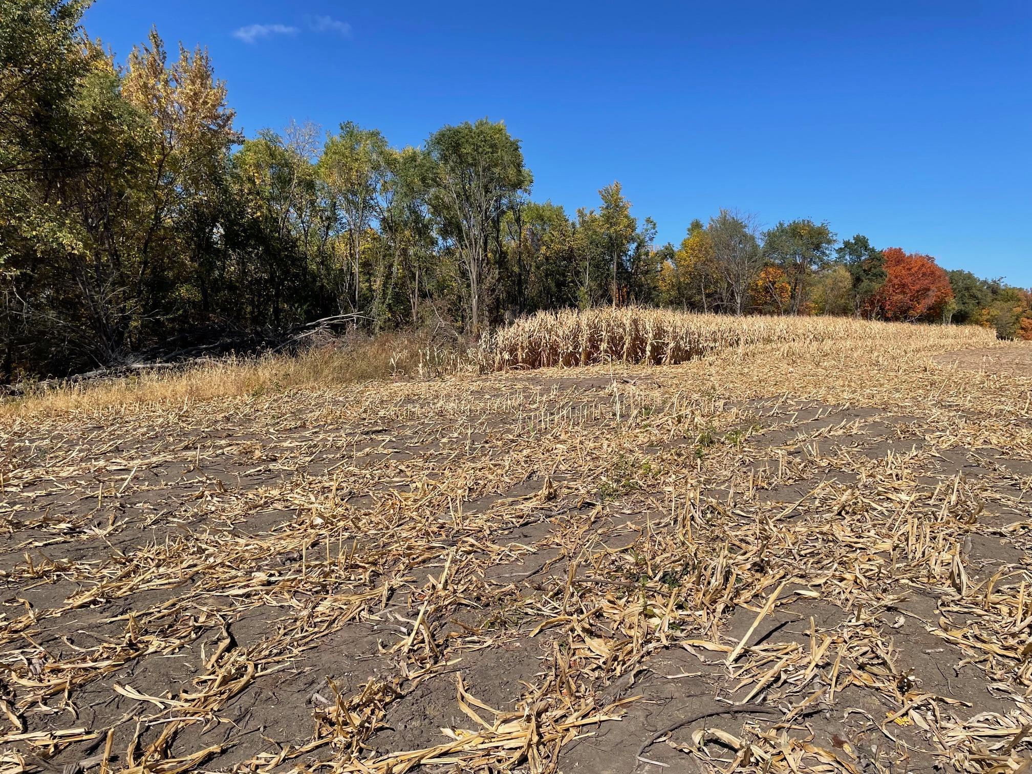 XXX Le Sueur Creek Road, Le Sueur, Minnesota image 16