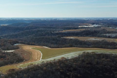 Vacant Land For Sale - Wiscoy Ridge Road<br/> Winona County, Winona, MN 55987
