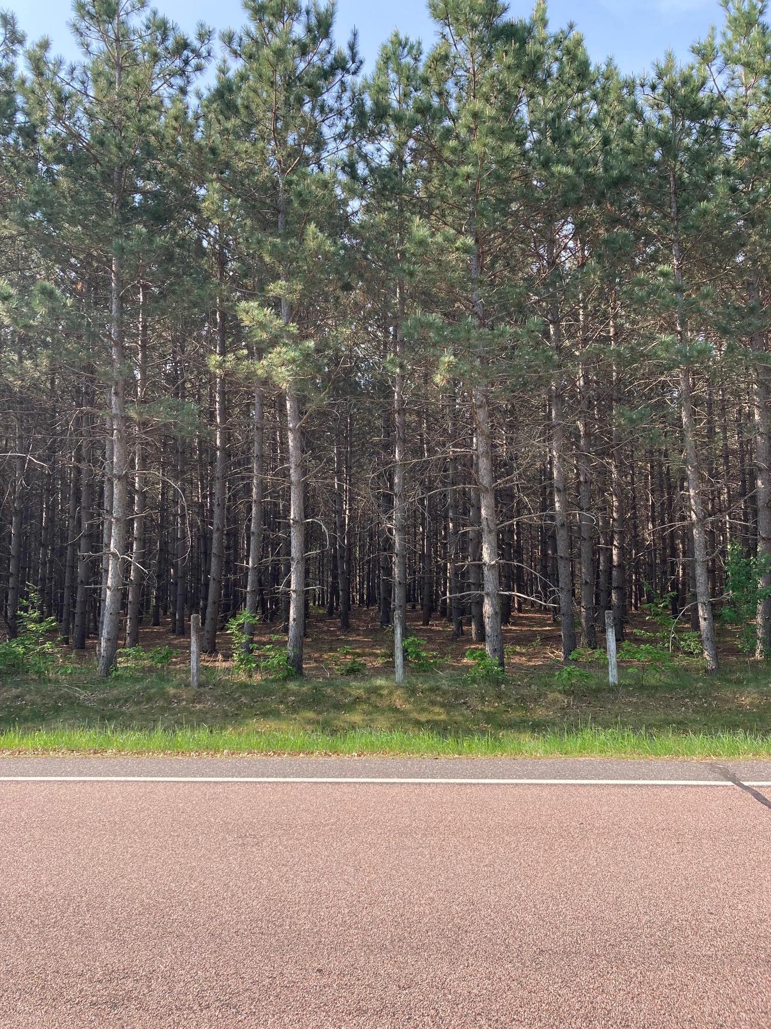 Lot 6 Fawn Lake Road, Crosslake, Minnesota image 2