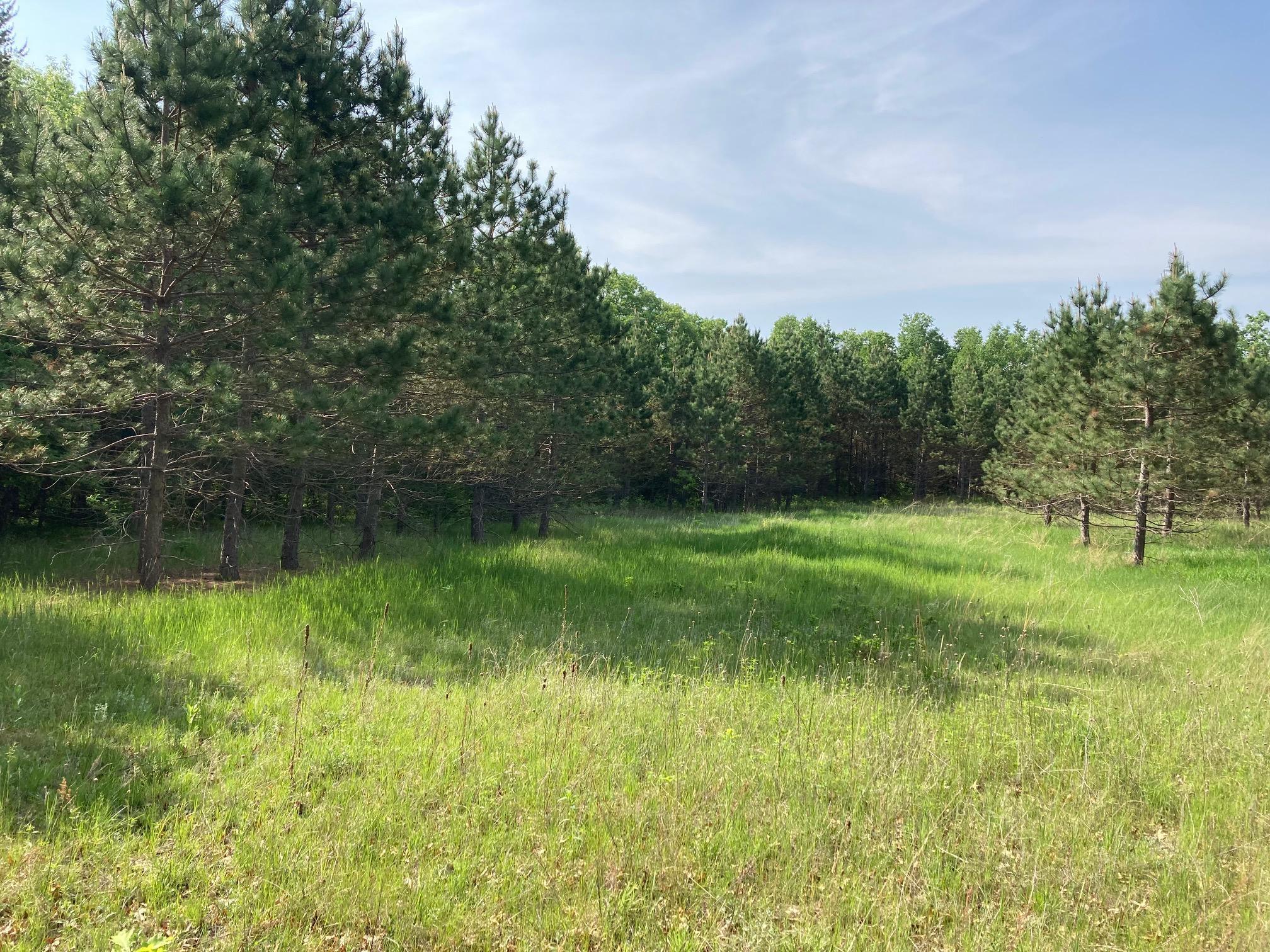Lot 6 Fawn Lake Road, Crosslake, Minnesota image 8