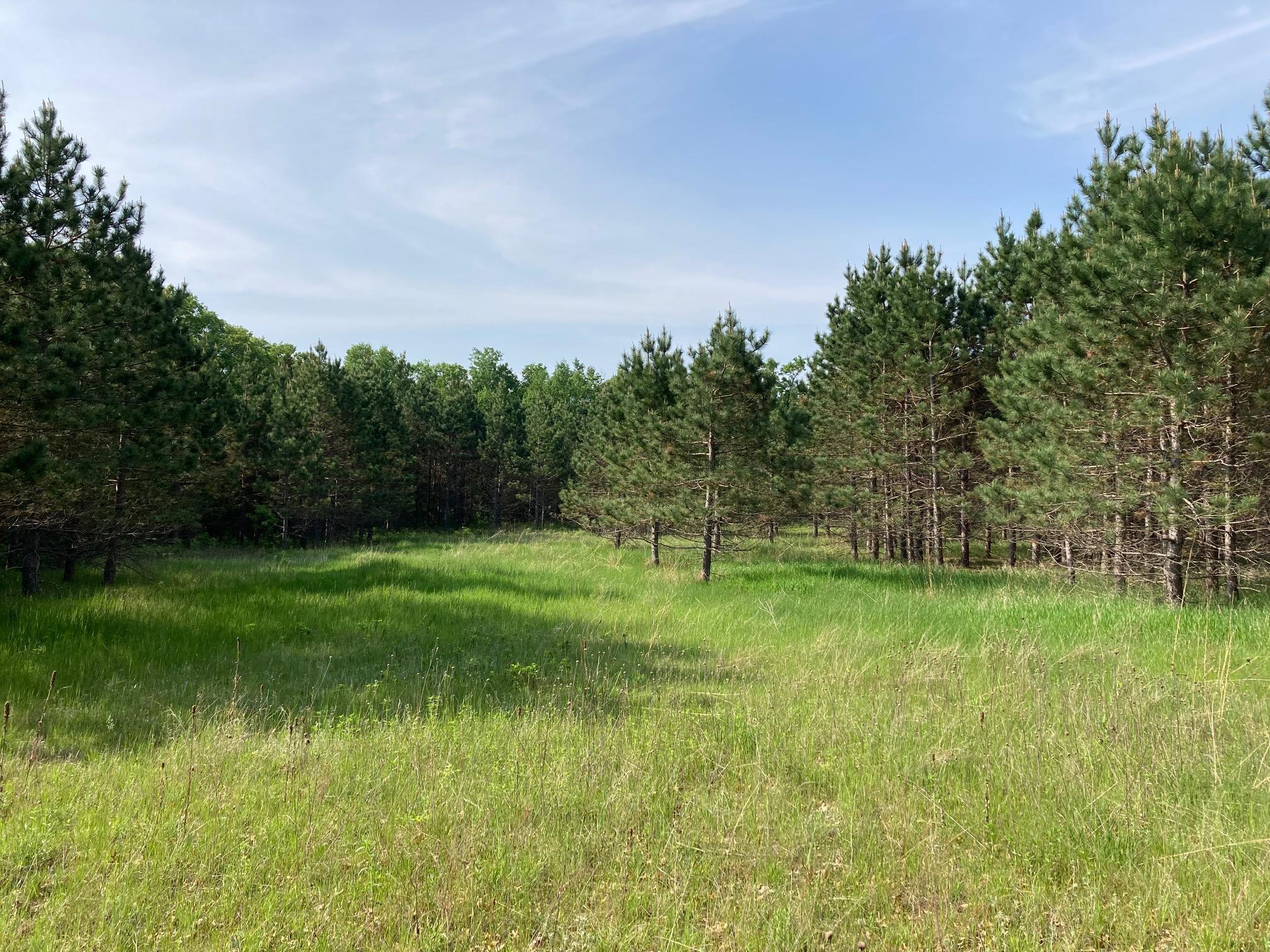 Lot 6 Fawn Lake Road, Crosslake, Minnesota image 9