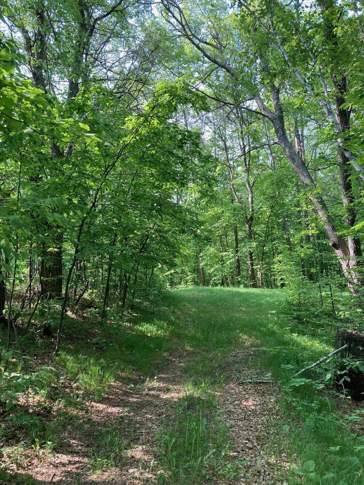 Lot 6 Fawn Lake Road, Crosslake, Minnesota image 6