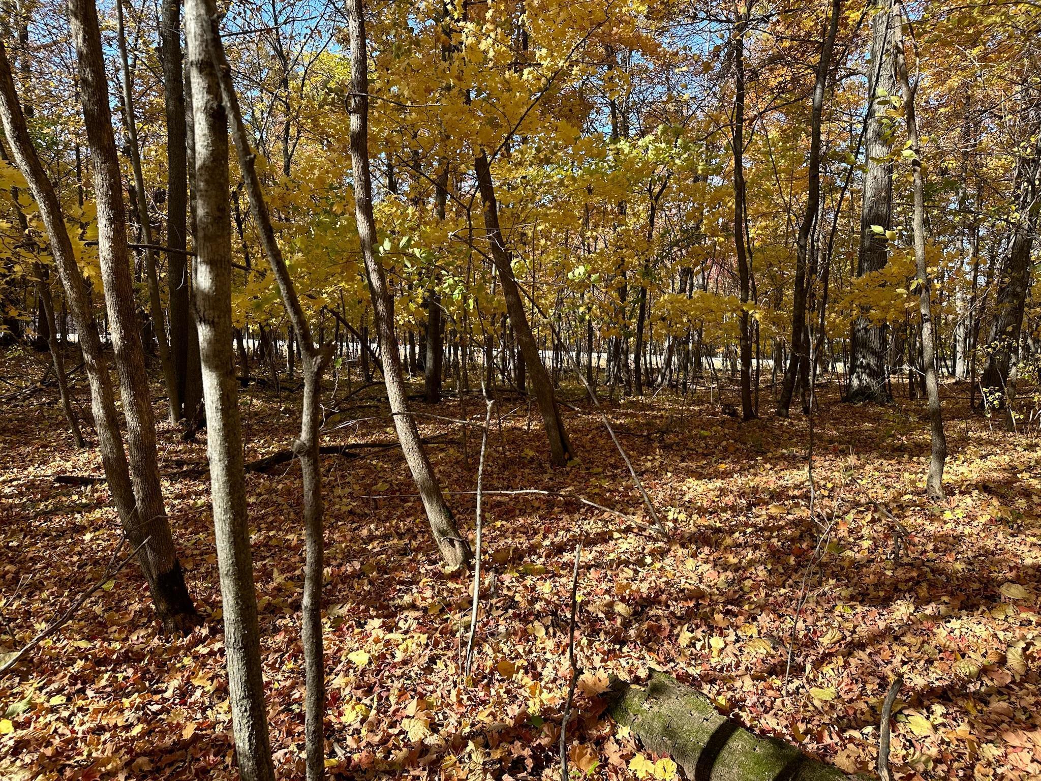 Tract A Pearl Lake Drive, Detroit Lakes, Minnesota image 24