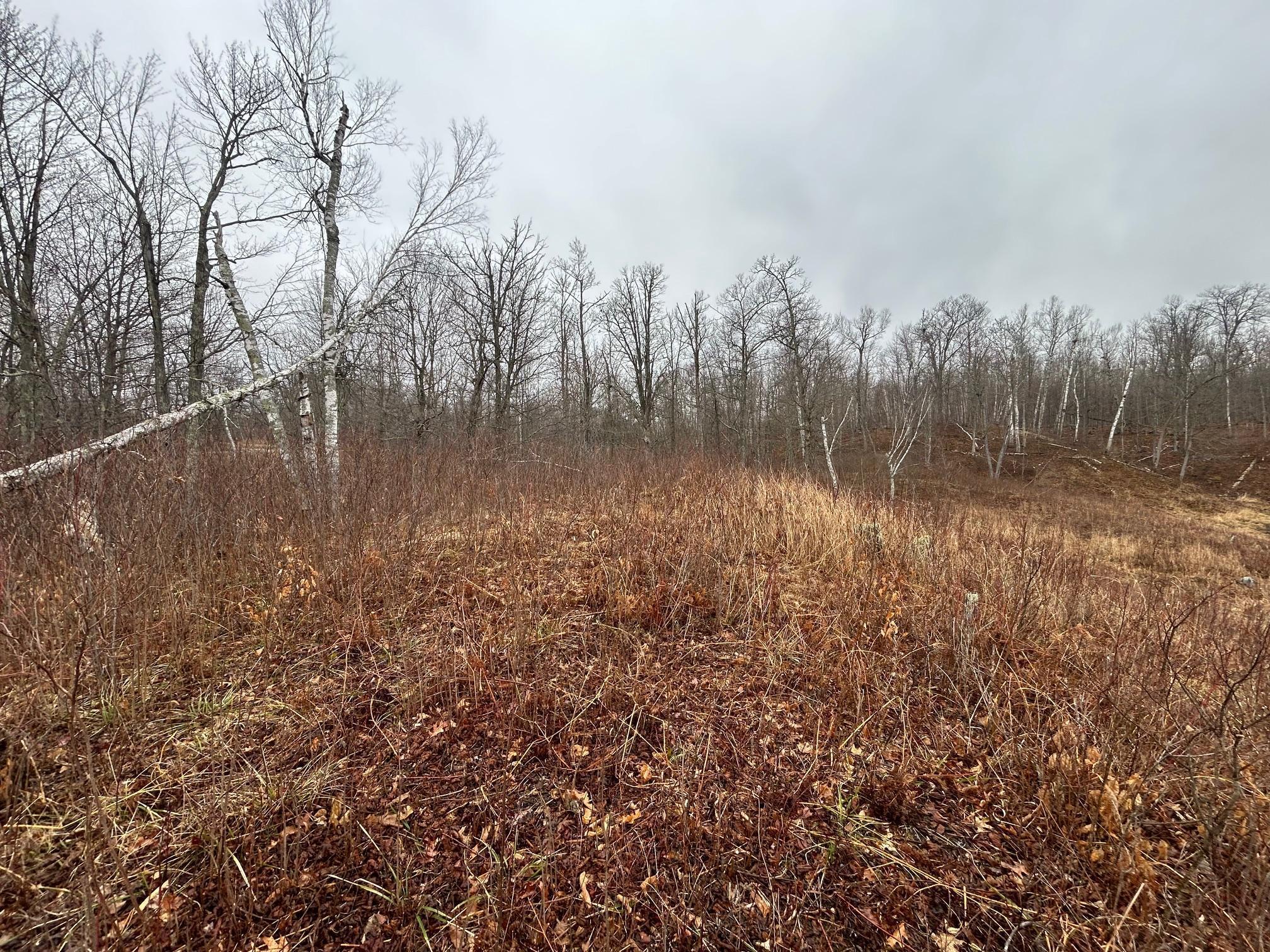 TBD Fawn Trail Ne, Longville, Minnesota image 2