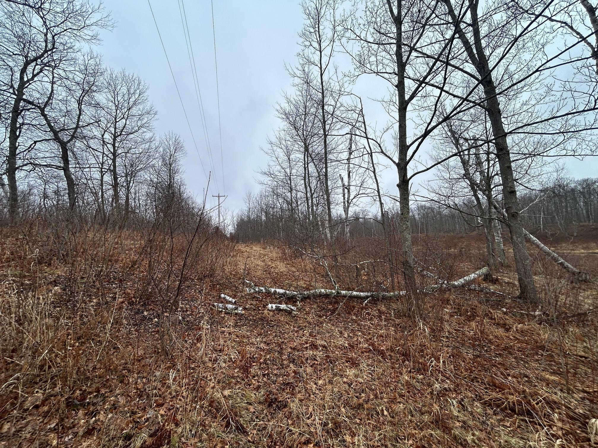 TBD Fawn Trail Ne, Longville, Minnesota image 3