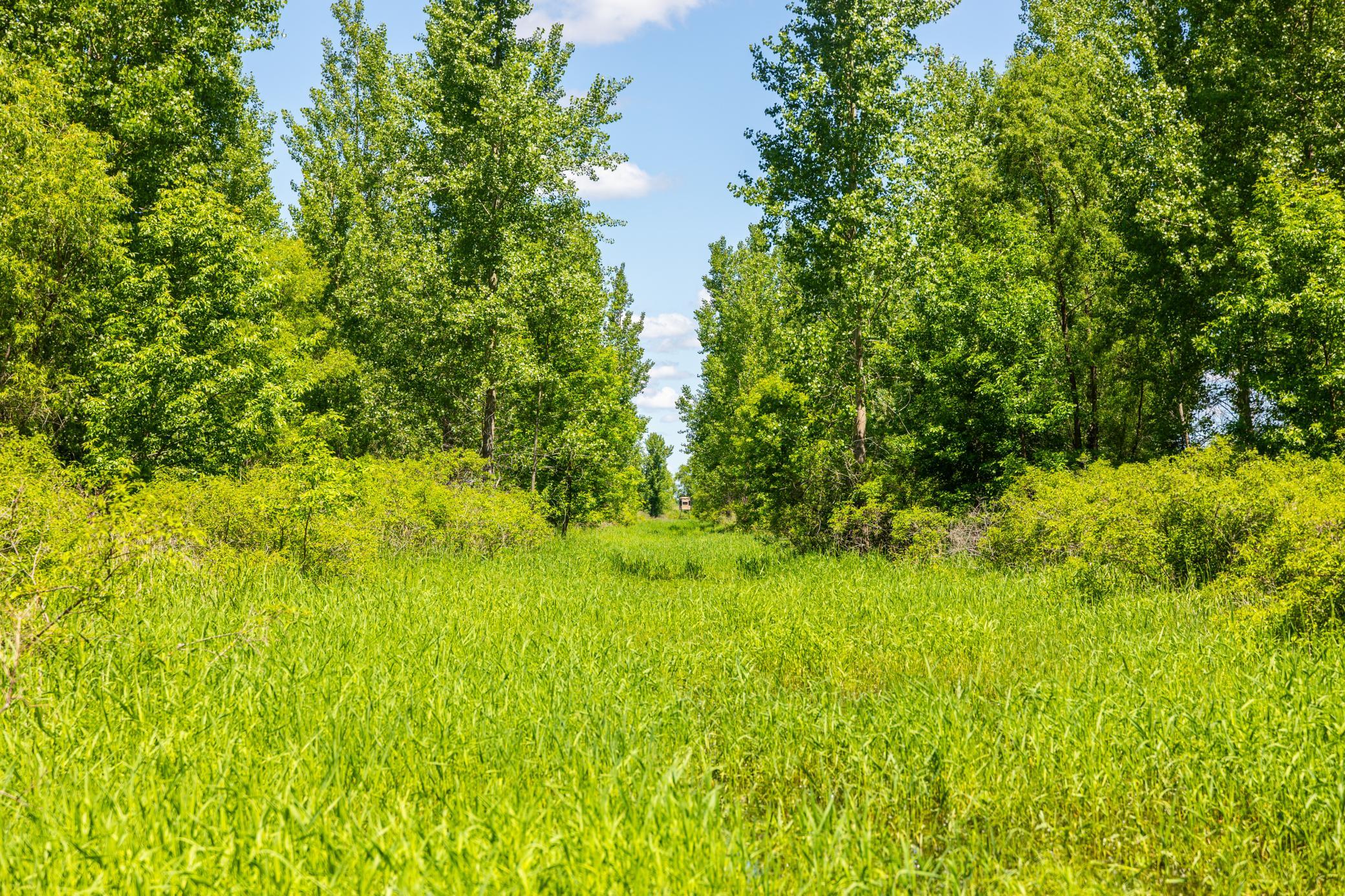 22376 510th Avenue, Minnesota Lake, Minnesota image 36