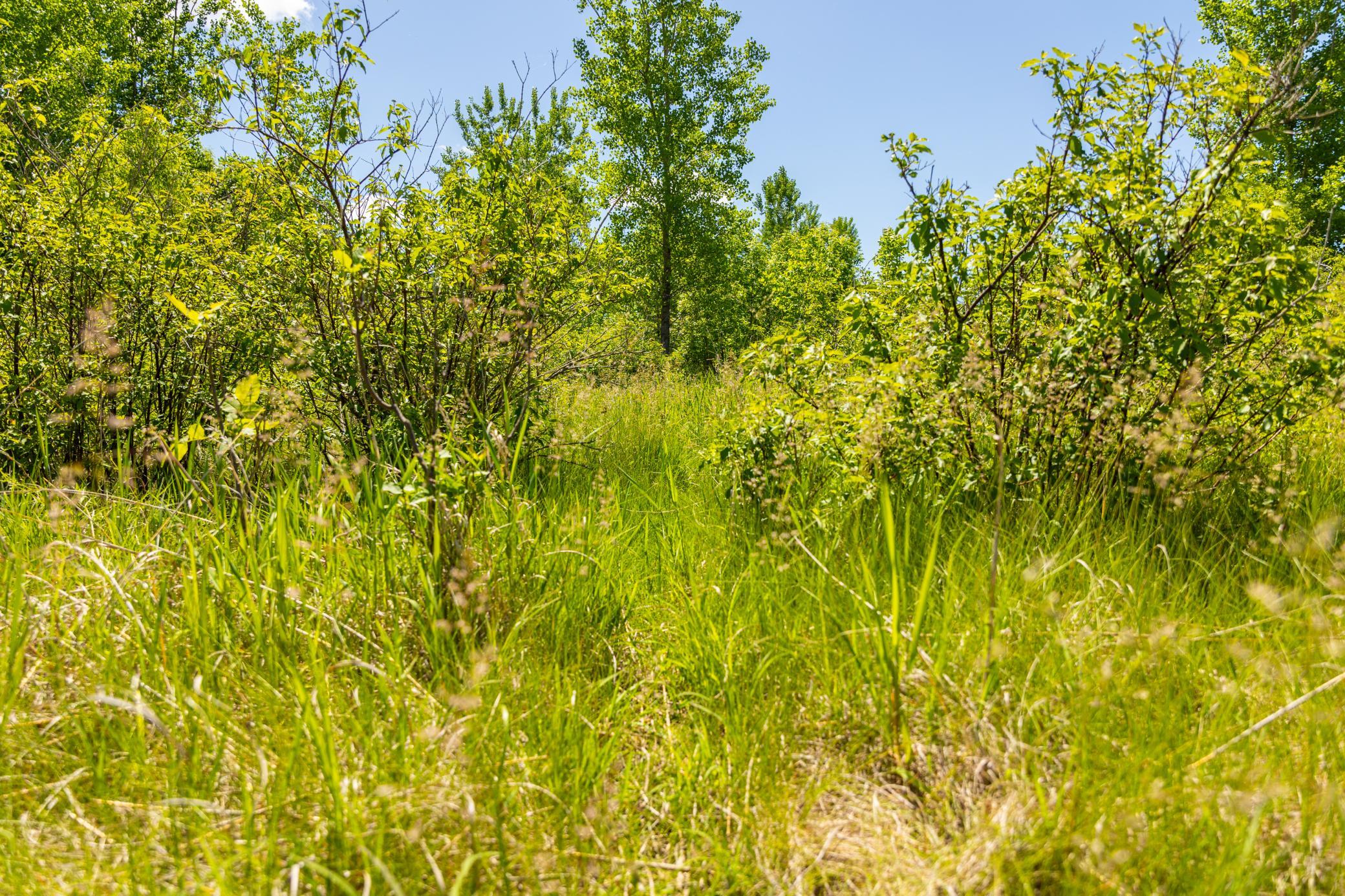 22376 510th Avenue, Minnesota Lake, Minnesota image 30