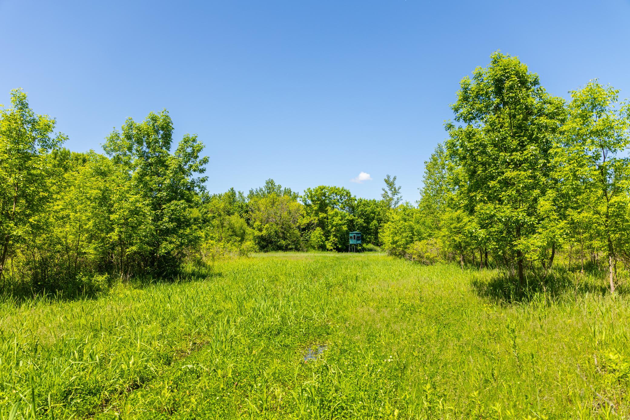 22376 510th Avenue, Minnesota Lake, Minnesota image 37