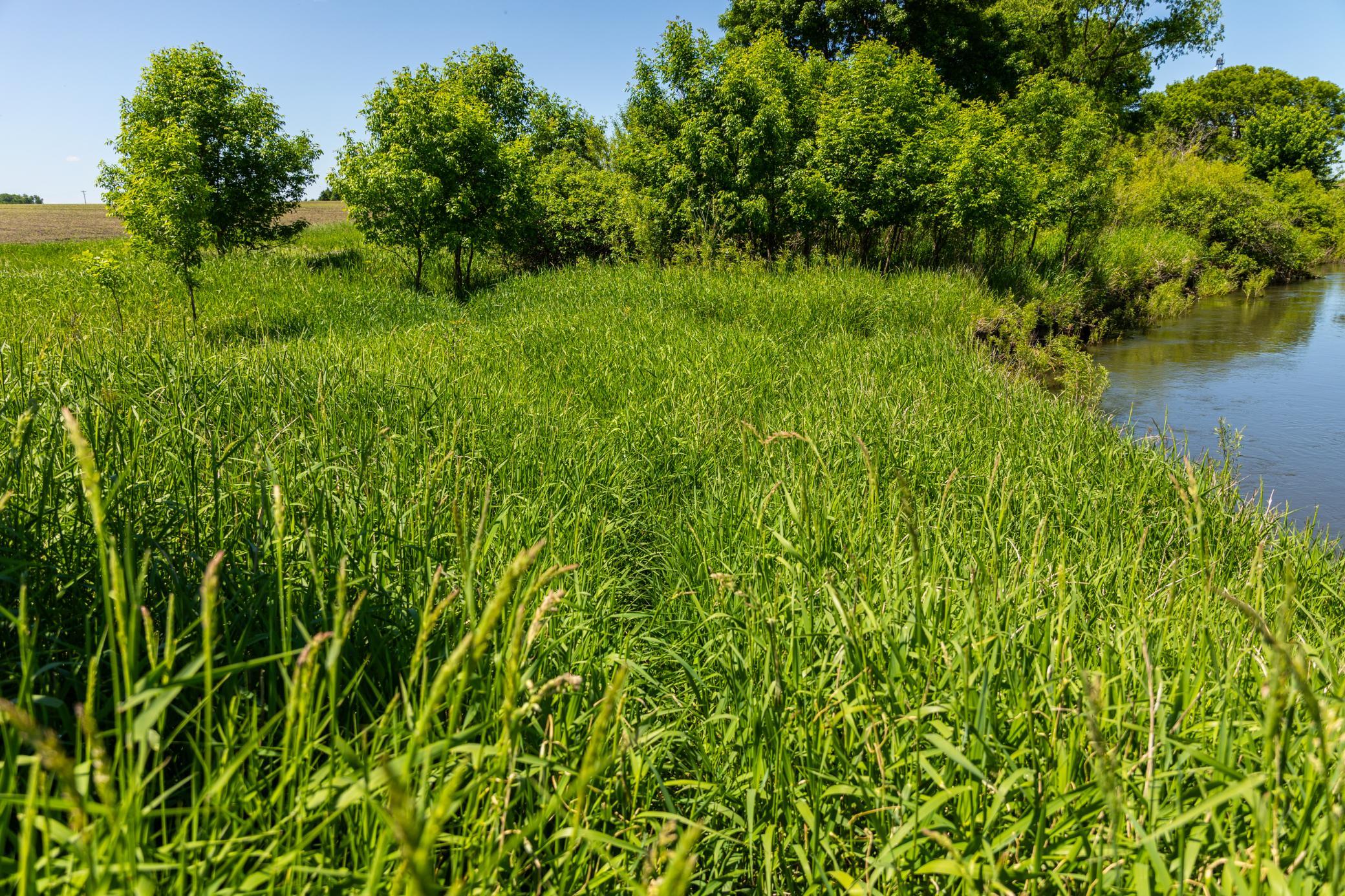 22376 510th Avenue, Minnesota Lake, Minnesota image 34