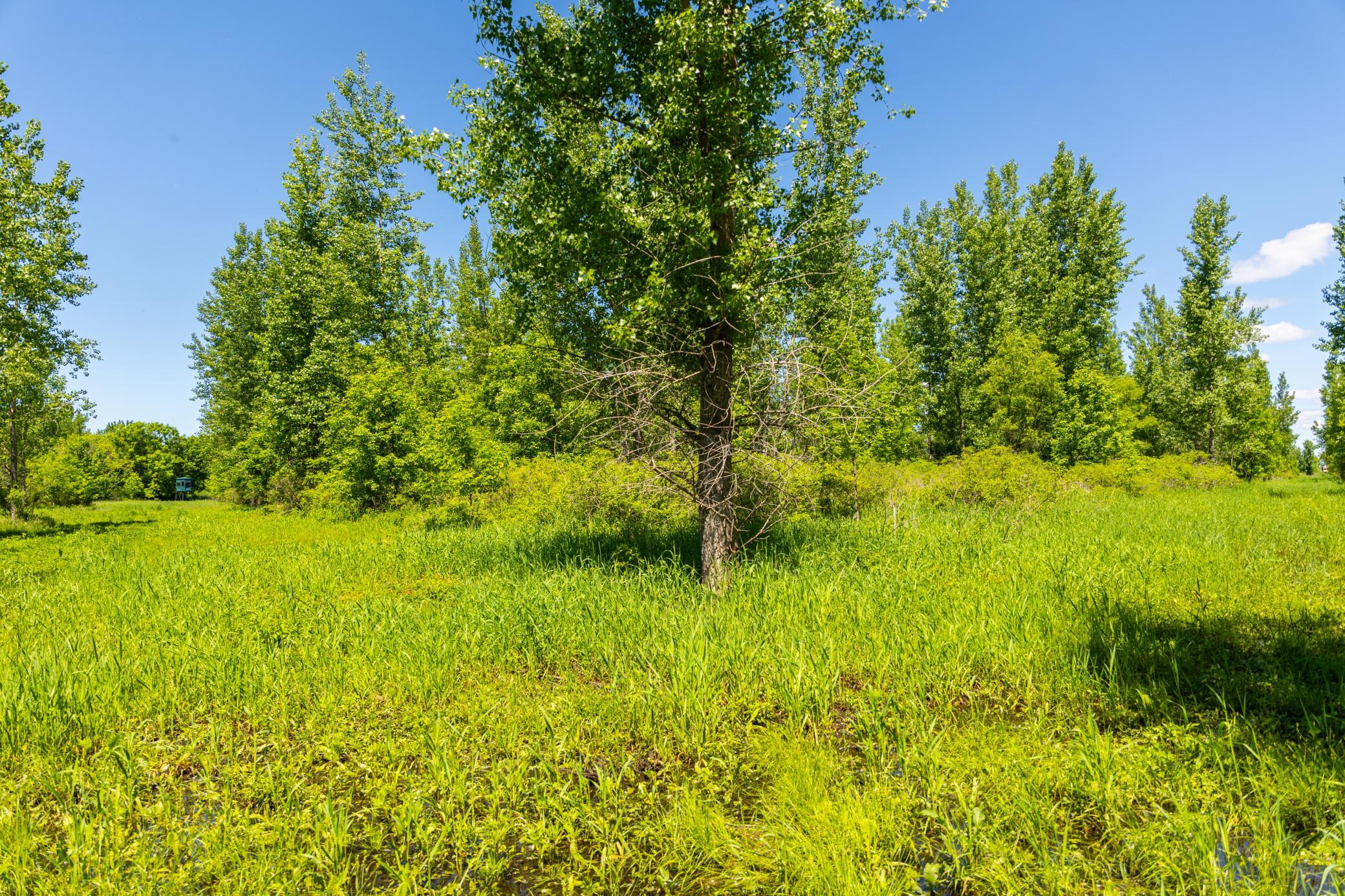 22376 510th Avenue, Minnesota Lake, Minnesota image 35