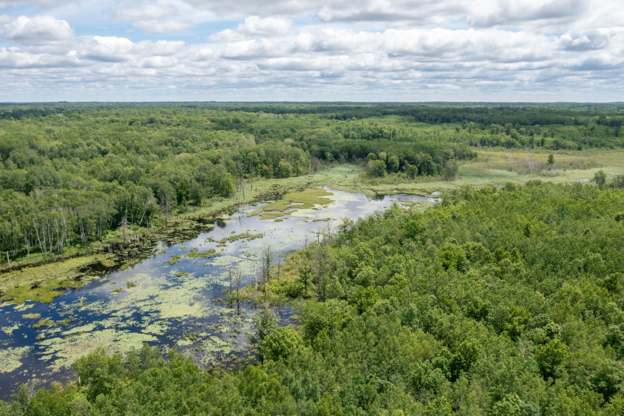 12XXTBD 4th Street Ne @blind Lake, Pine River, Minnesota image 14