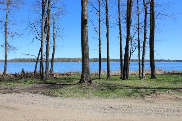 49374 372nd Place, Palisade, Minnesota image 34