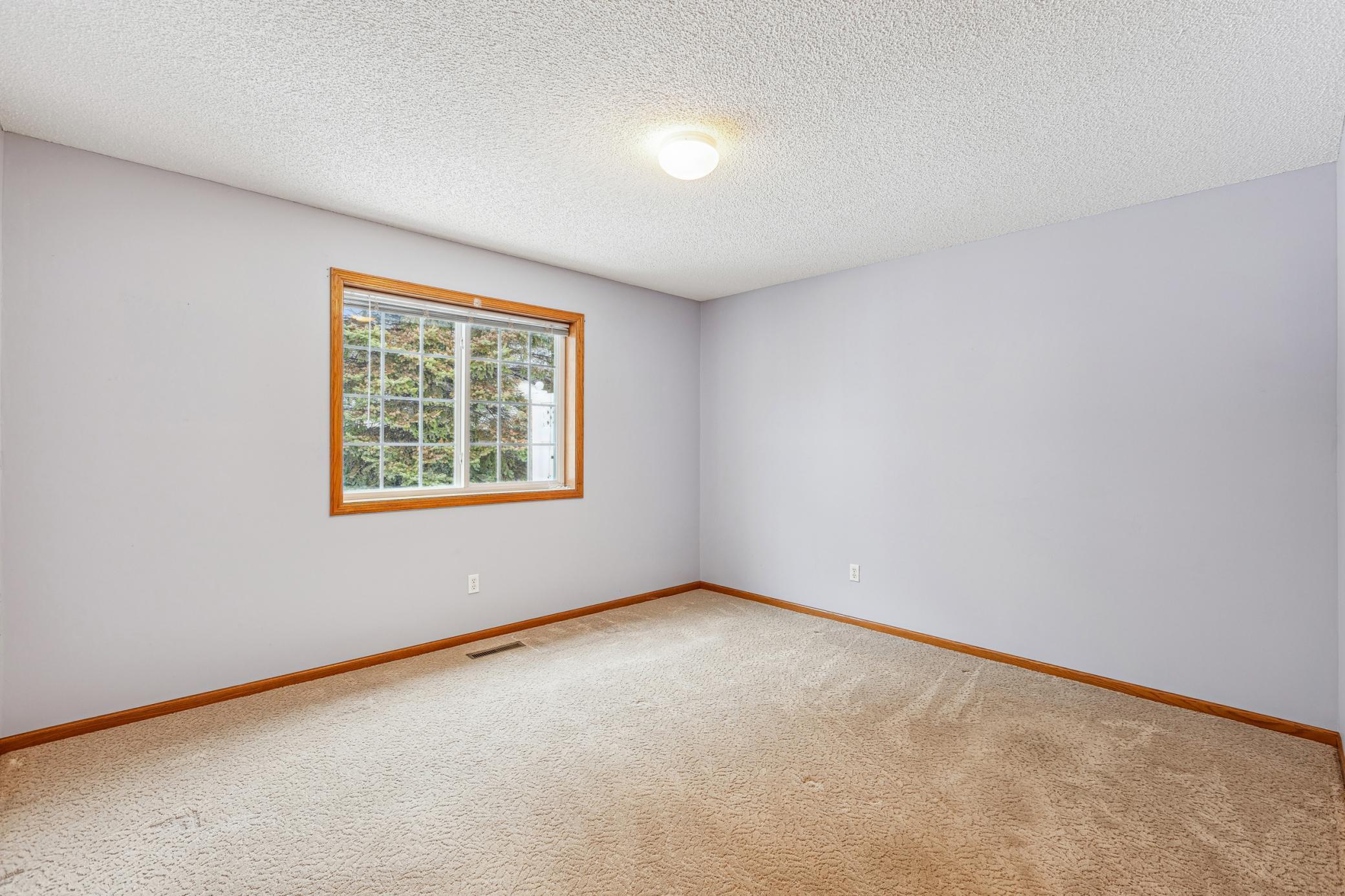 3621 Lansing Avenue, Saint Michael, Minnesota image 10