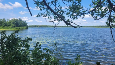 Vacant Land For Sale - 6920 County Road 8<br/> Cass County, Longville, MN 56655