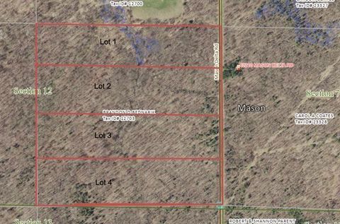 Vacant Land For Sale - LOT 1 Mason Delta Rd<br/> Bayfield County, Delta, WI 54856
