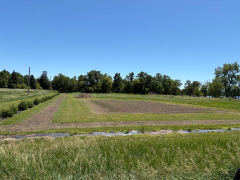Vacant Land For Sale - TBD Tripp<br/> Fulda, MN 56131