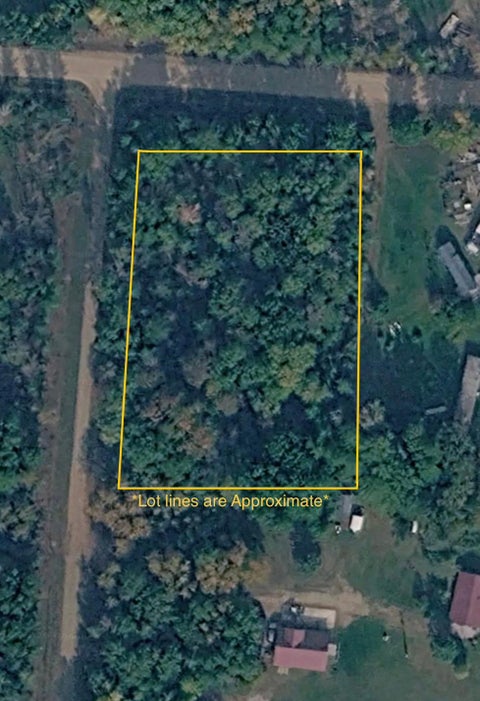 Vacant Land For Sale - TBD Pine Creek Drive<br/> Lake Of The Woods County, Angle Inlet, MN 56711