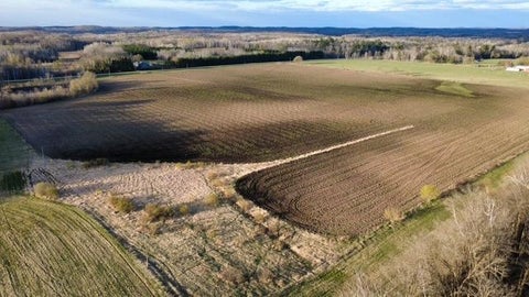 Vacant Land For Sale - TBD 270th Street<br/> Morrison County, Cushing, MN 56443