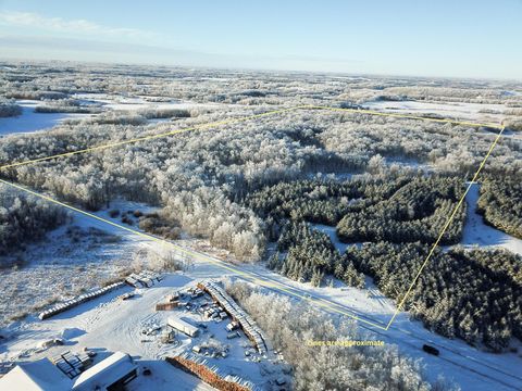 Vacant Land For Sale - TBD1 161st Avenue<br/> Clearwater County, Clearbrook, MN 56634