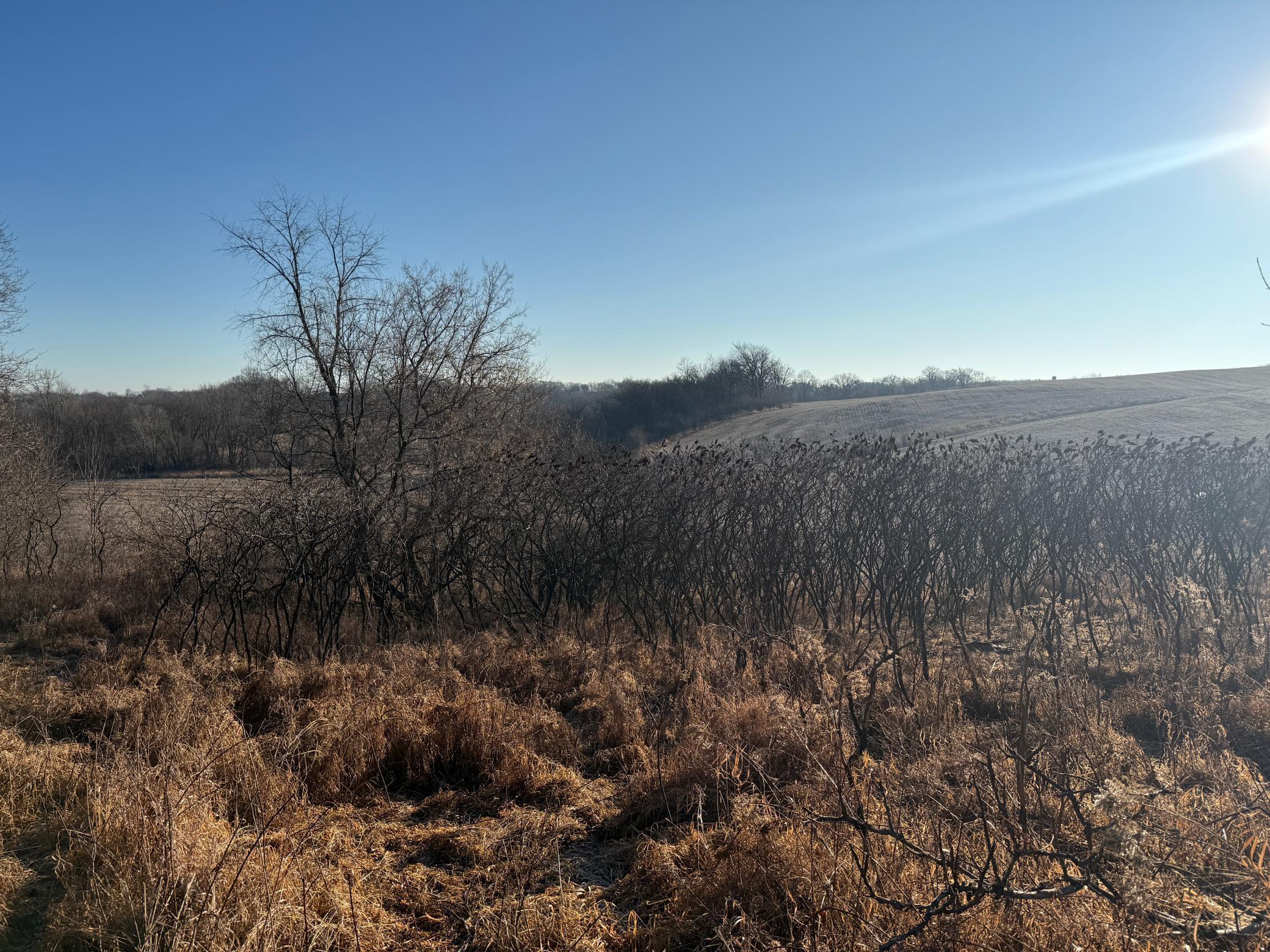 Xxx County Road 3, Zumbro Falls, Minnesota image 37