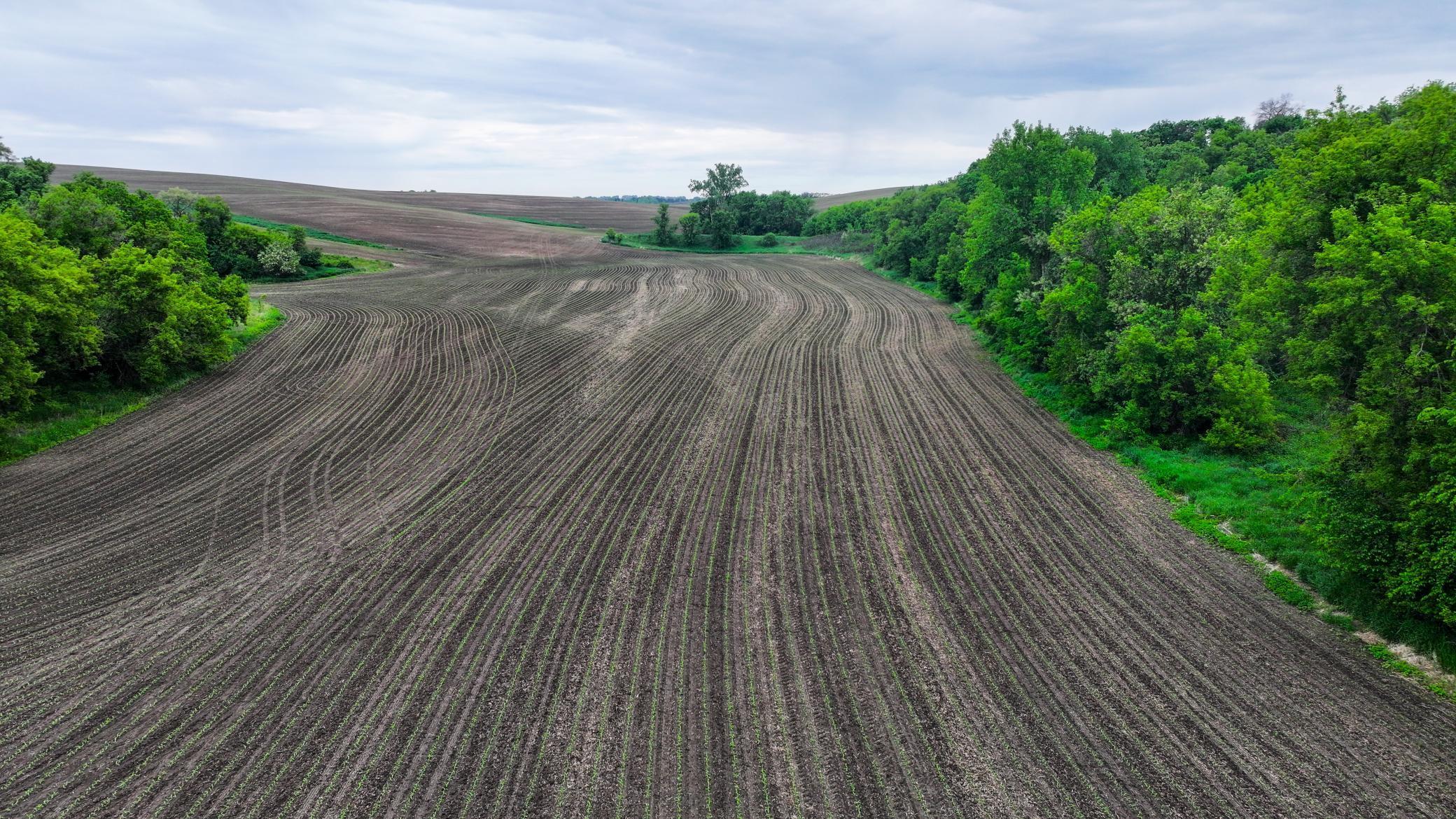 Xxx County Road 3, Zumbro Falls, Minnesota image 13