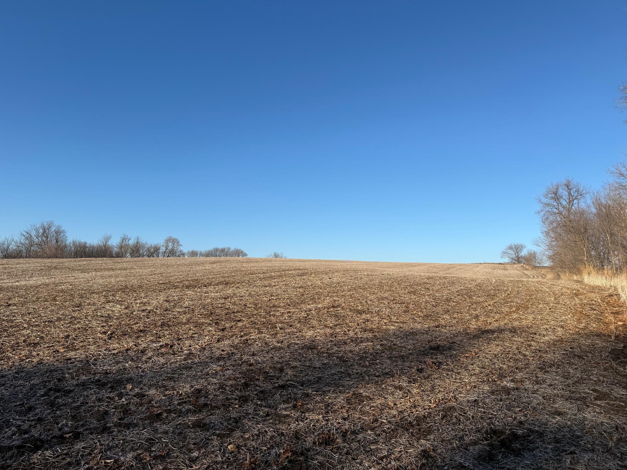 Xxx County Road 3, Zumbro Falls, Minnesota image 20