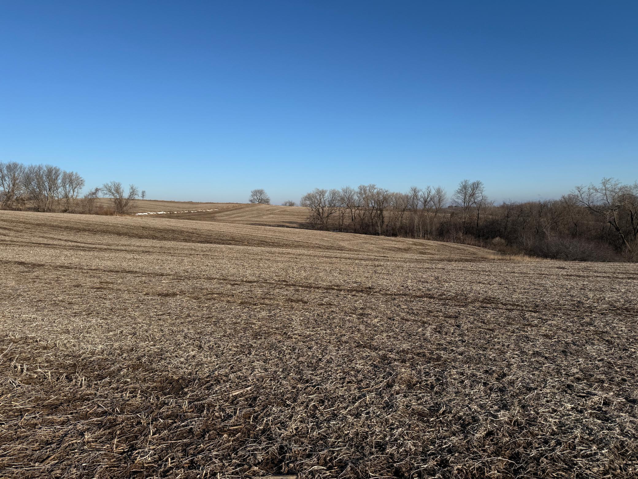 Xxx County Road 3, Zumbro Falls, Minnesota image 27