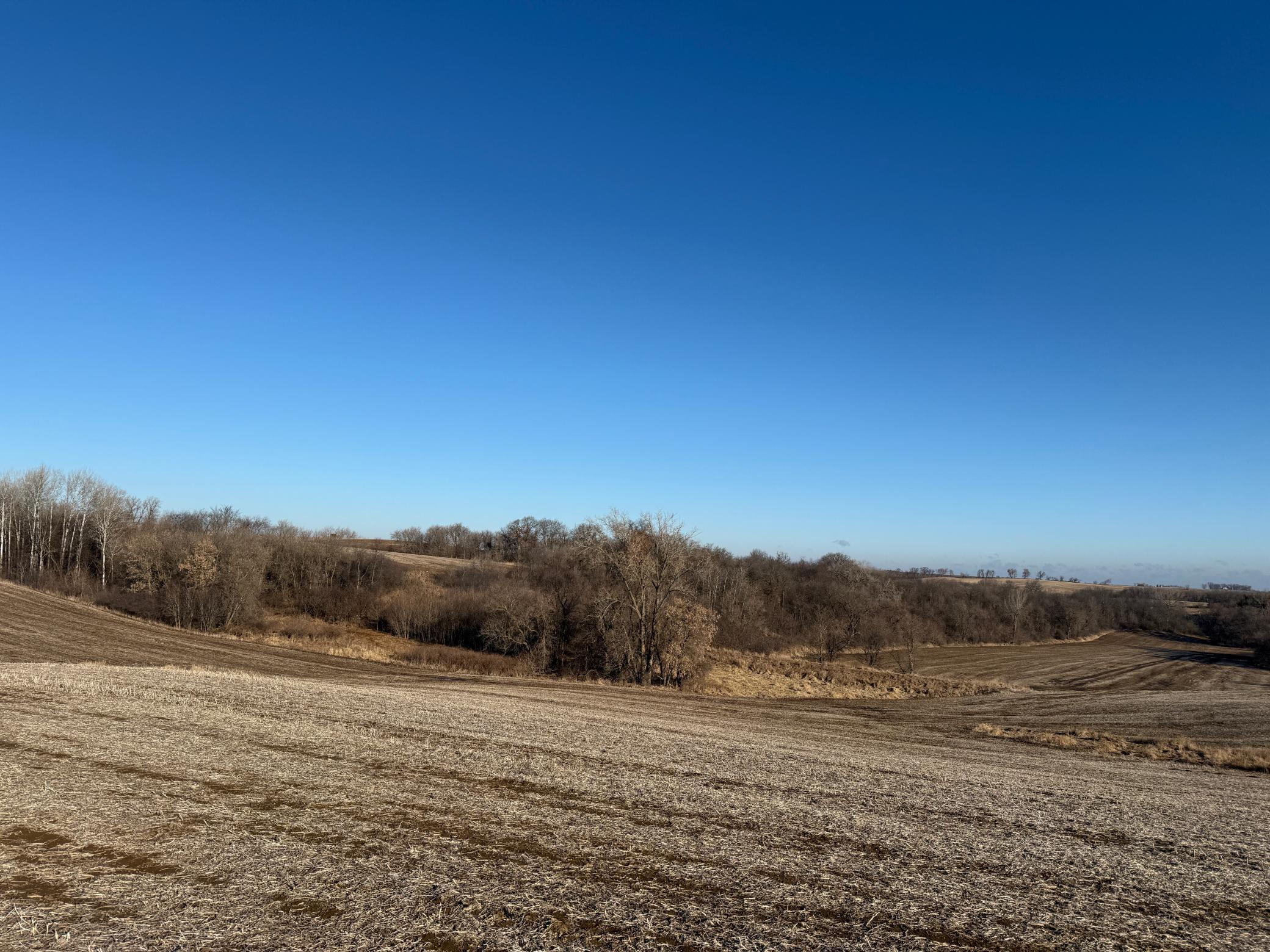 Xxx County Road 3, Zumbro Falls, Minnesota image 42