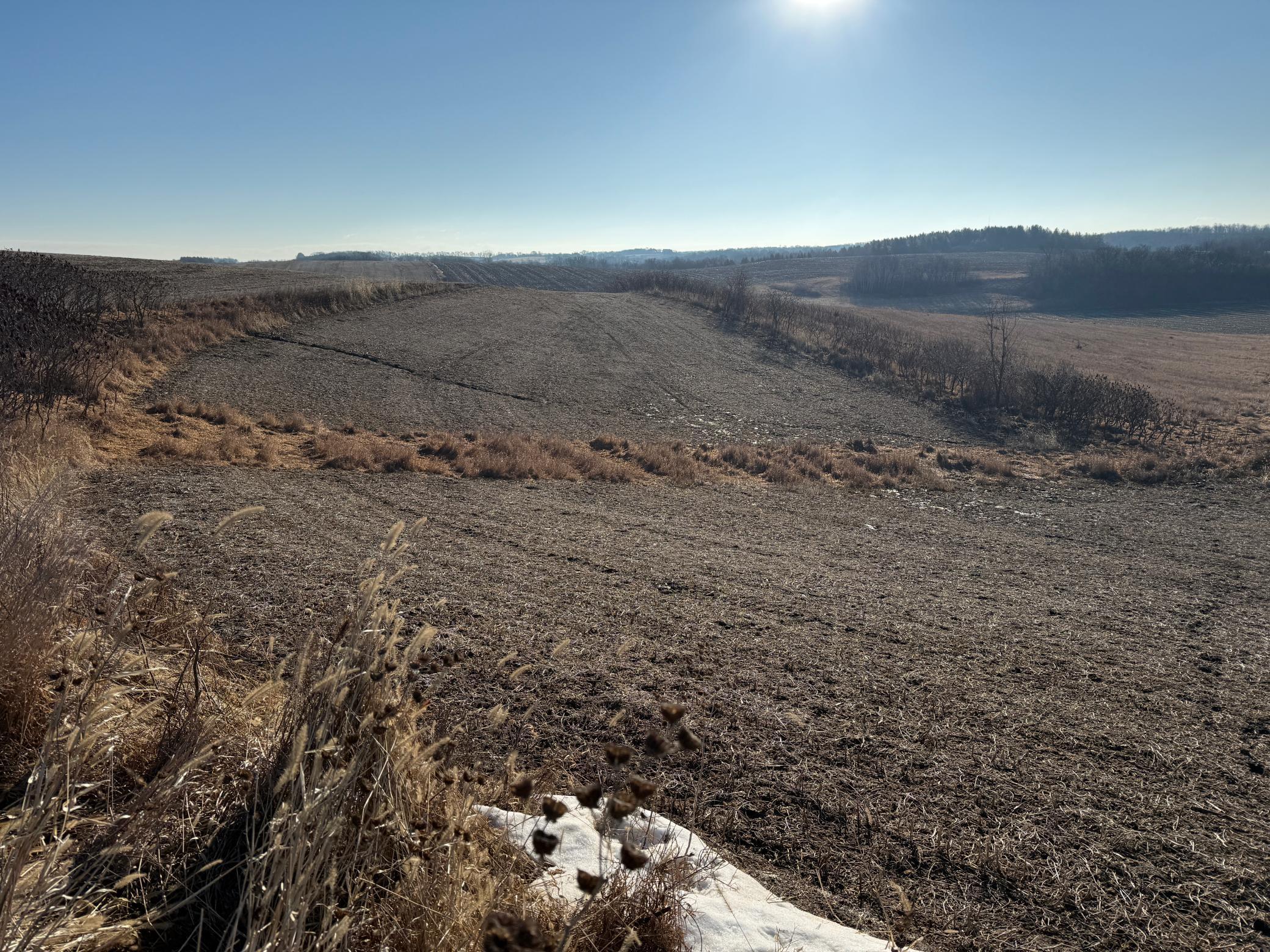 Xxx County Road 3, Zumbro Falls, Minnesota image 39