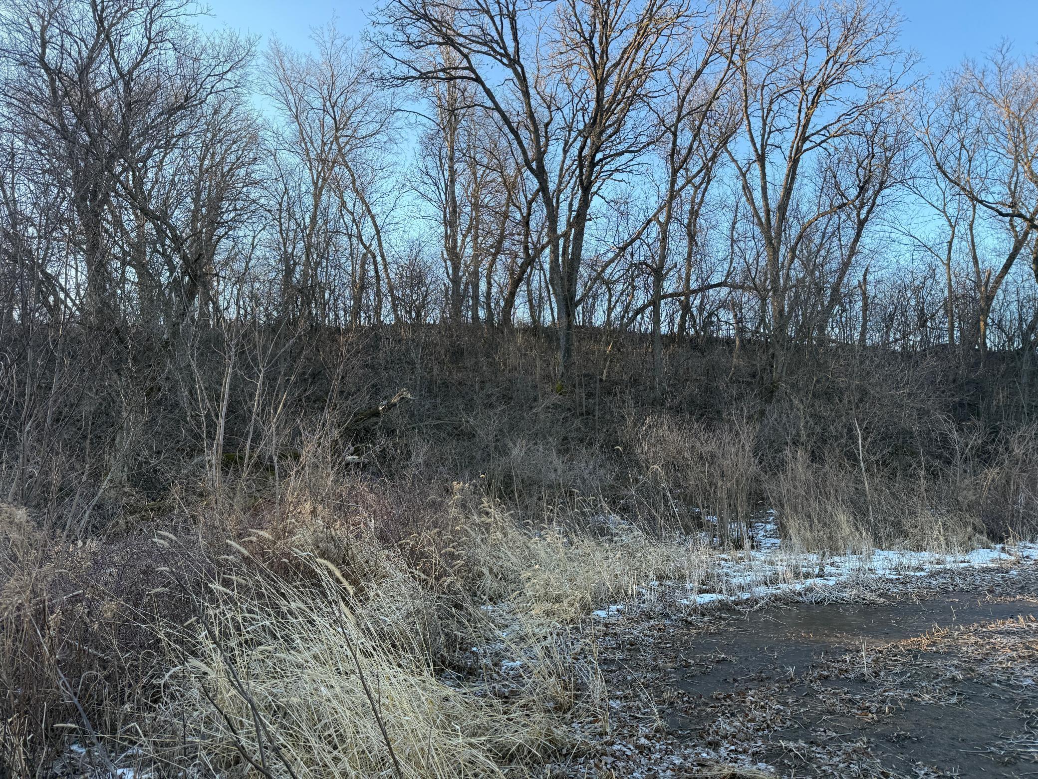 Xxx County Road 3, Zumbro Falls, Minnesota image 14