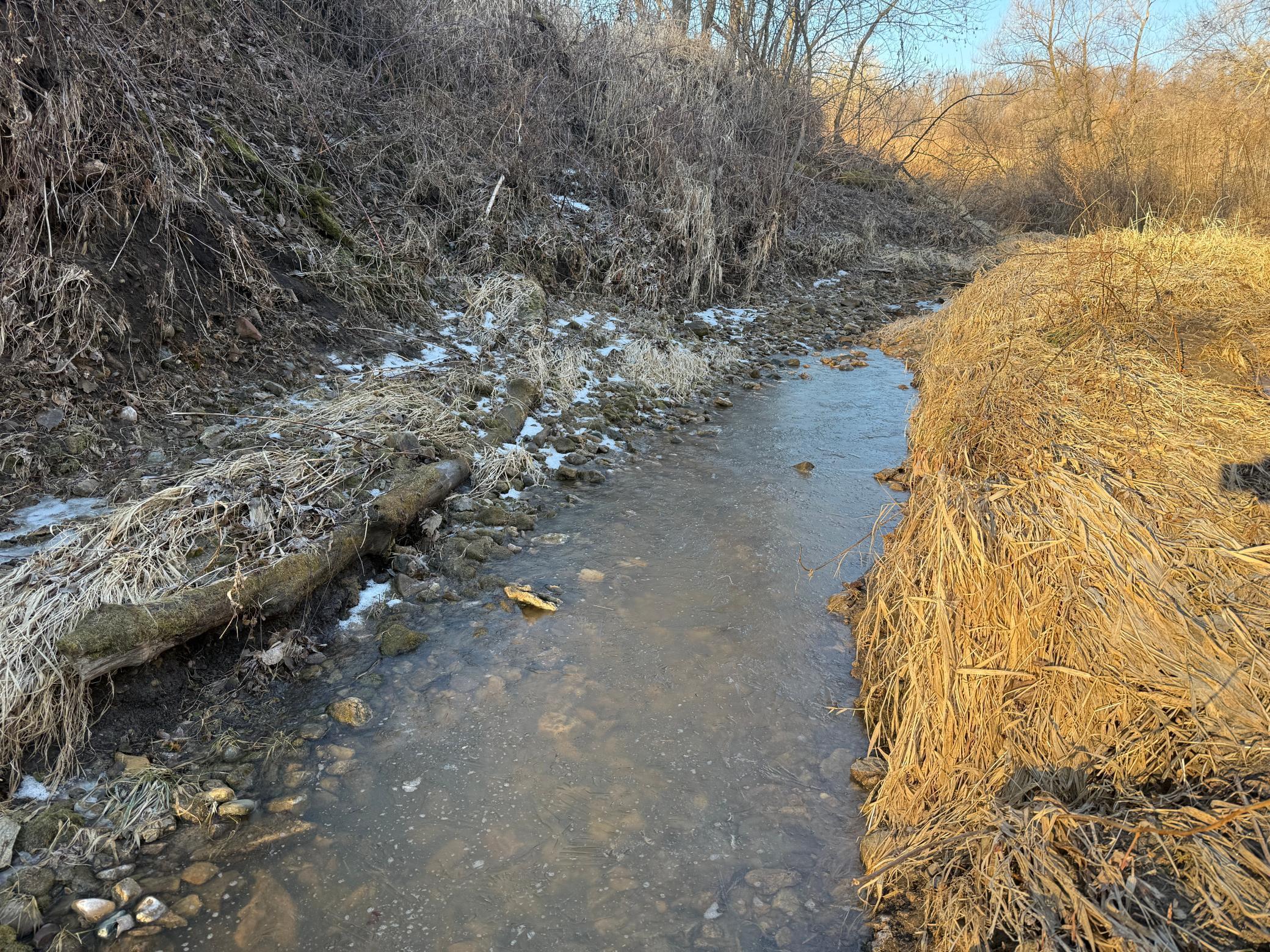 Xxx County Road 3, Zumbro Falls, Minnesota image 32