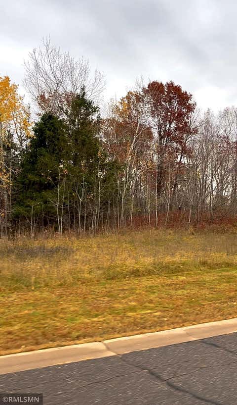 Vacant Land For Sale - LOT 8 Wilderness Hills Lane<br/> Luck, WI 54853