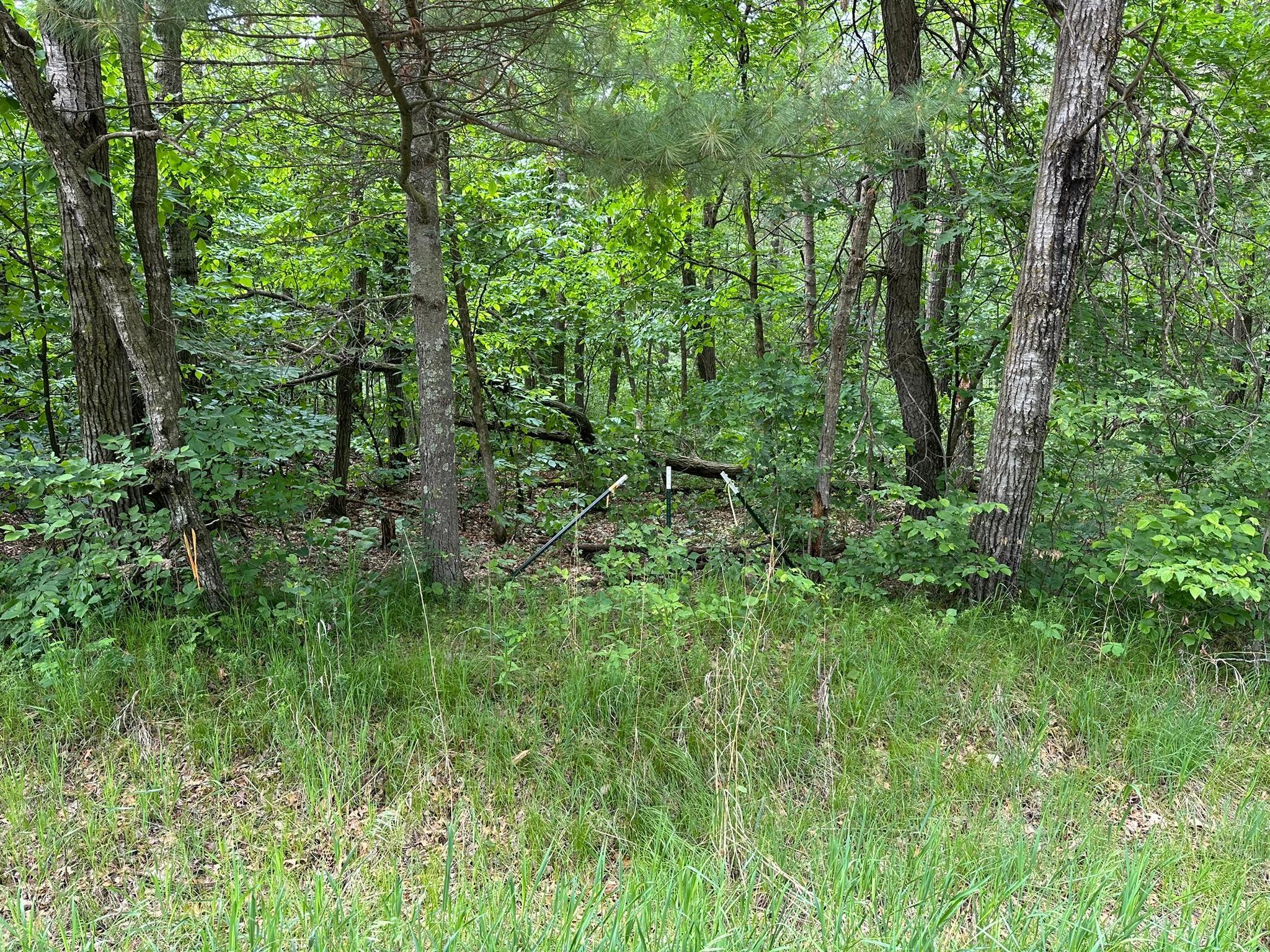 TBD Ode Circle, Browerville, Minnesota image 4