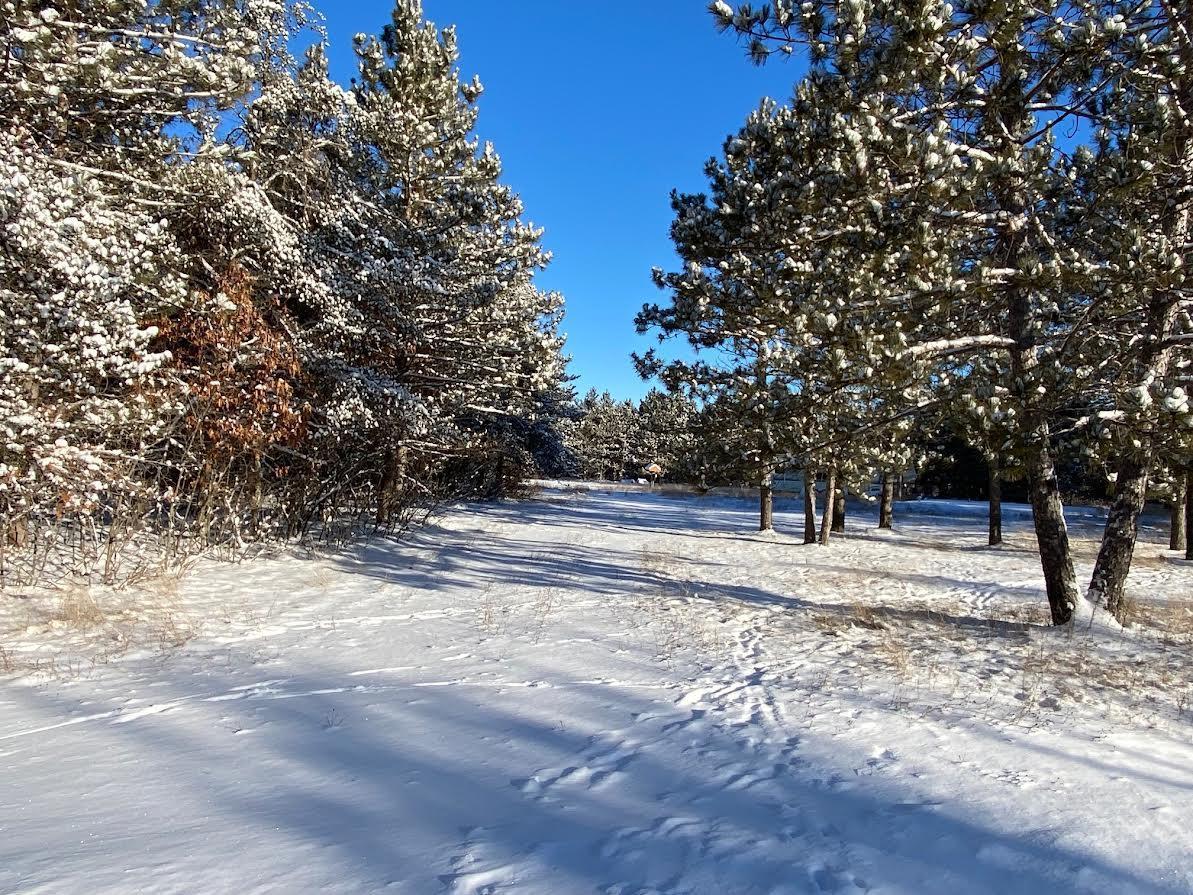 11335 E Williams Drive, Gordon, Wisconsin image 1